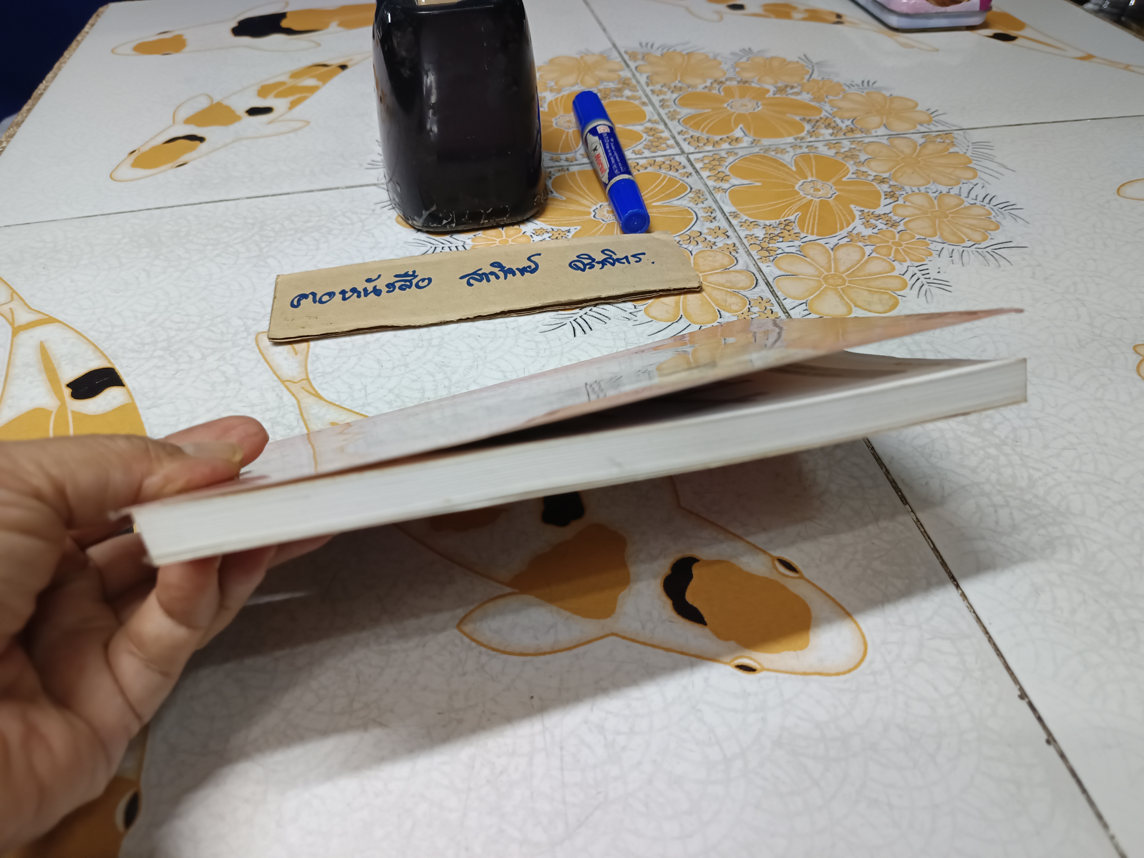 บำบัดภูมิเพี้ยน ด้วยวิธีธรรมชาติ โดย พญ. ลลิตา ธีระสิริ **สินค้าหมด**