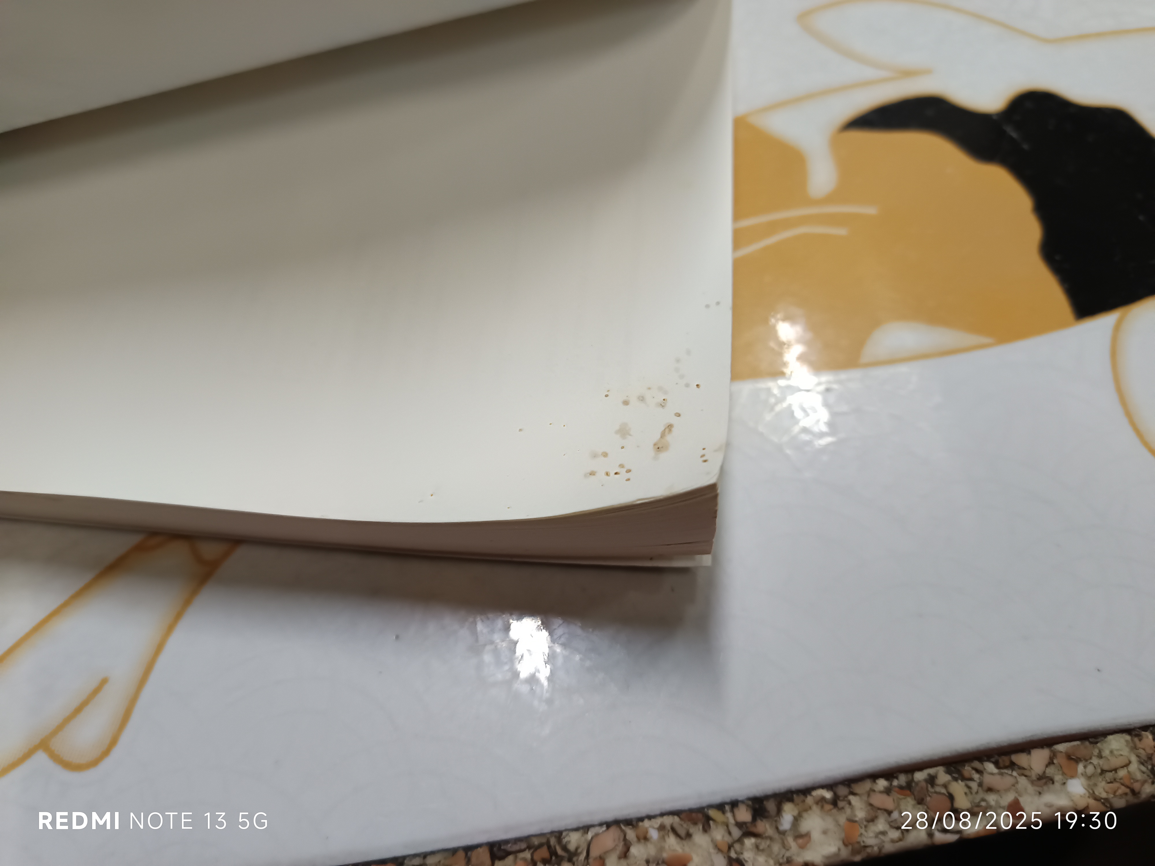 A Little History of Economics เศรษฐศาสตร์: ประวัติศาสตร์มีชีวิตของพัฒนาการความคิดเศรษฐศาสตร์ Niall Kishtainy เขียน