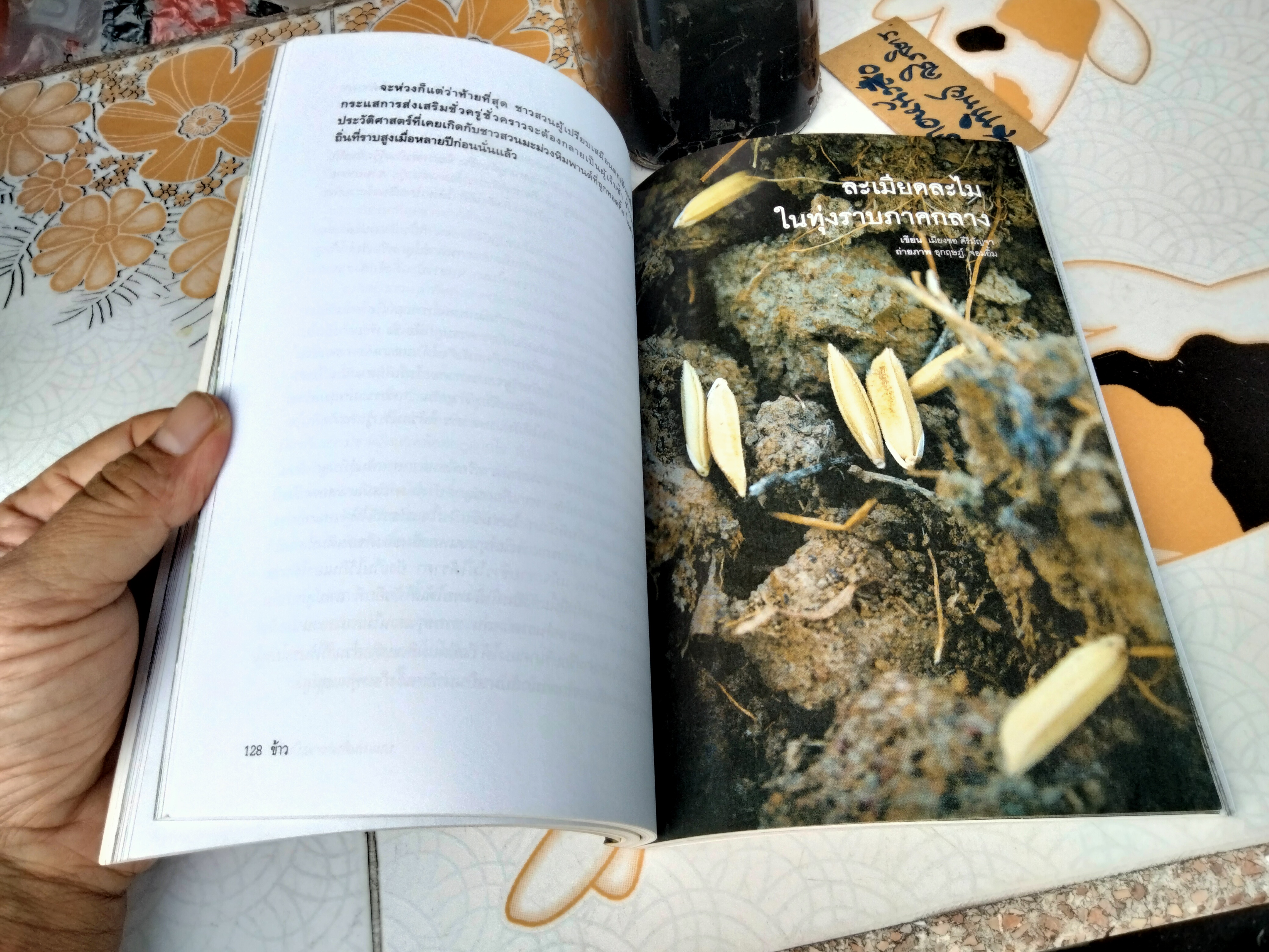 ข้าวบนแผ่นดินกลายเป็นอื่น - เมียงซอ คีรีมัญจา , ปกรณ์ คงสวัสดิ์ - จิตติมา ผลเสวก , บรรณาธิการ