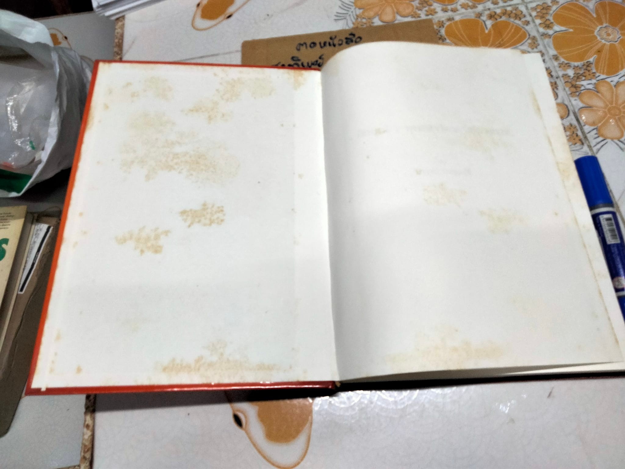 ภิกษุณี-พุทธสาวิกาครั้งพุทธกาล โดย บรรจบ บรรณรุจิ **สินค้าหมด**