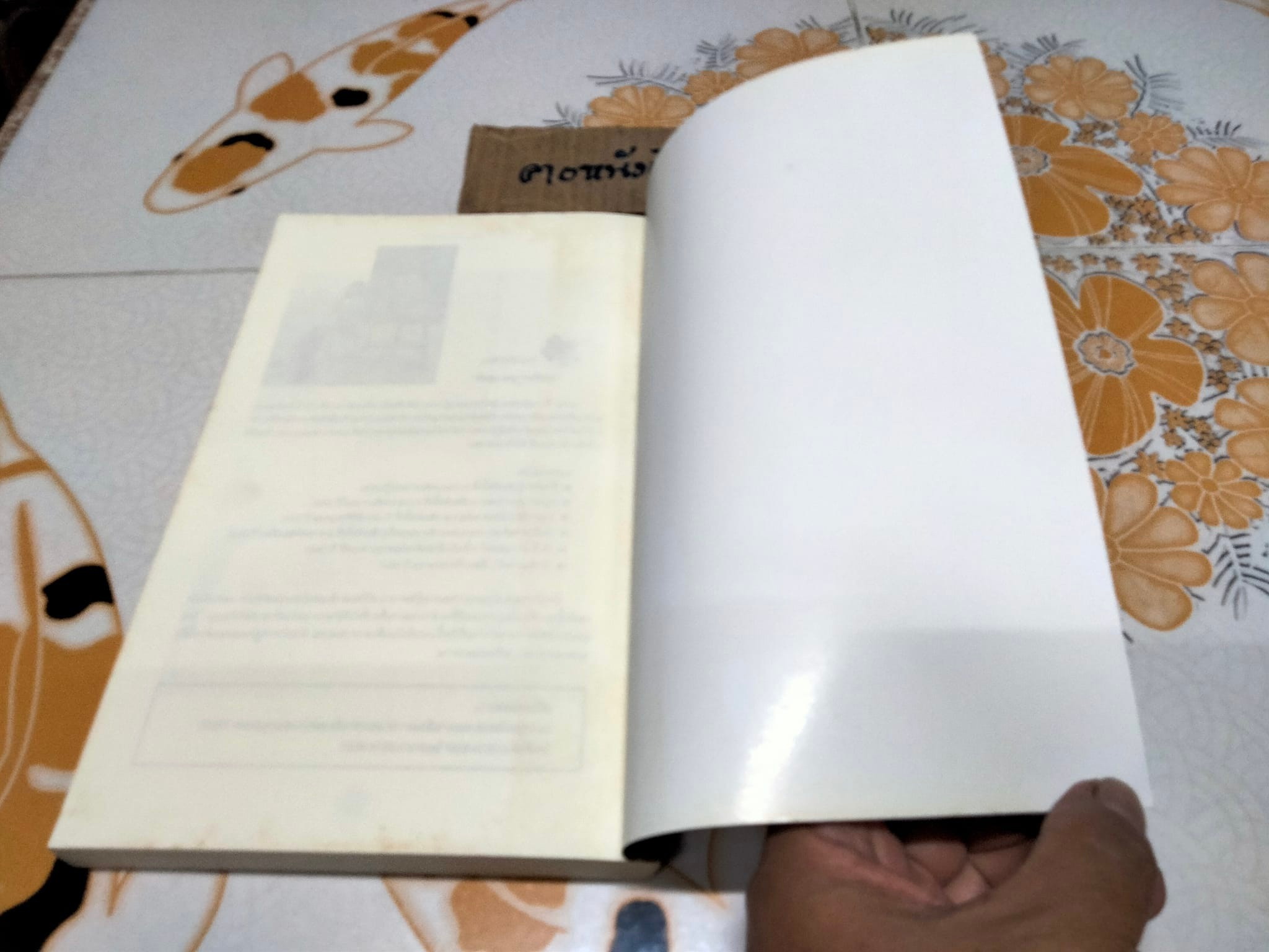 แม่ชีศันสนีย์ เสถียรสุต - ก้าวย่างแห่งปัญญา โดย มนทิรา จูฑะพุทธิ **สินค้าหมด**