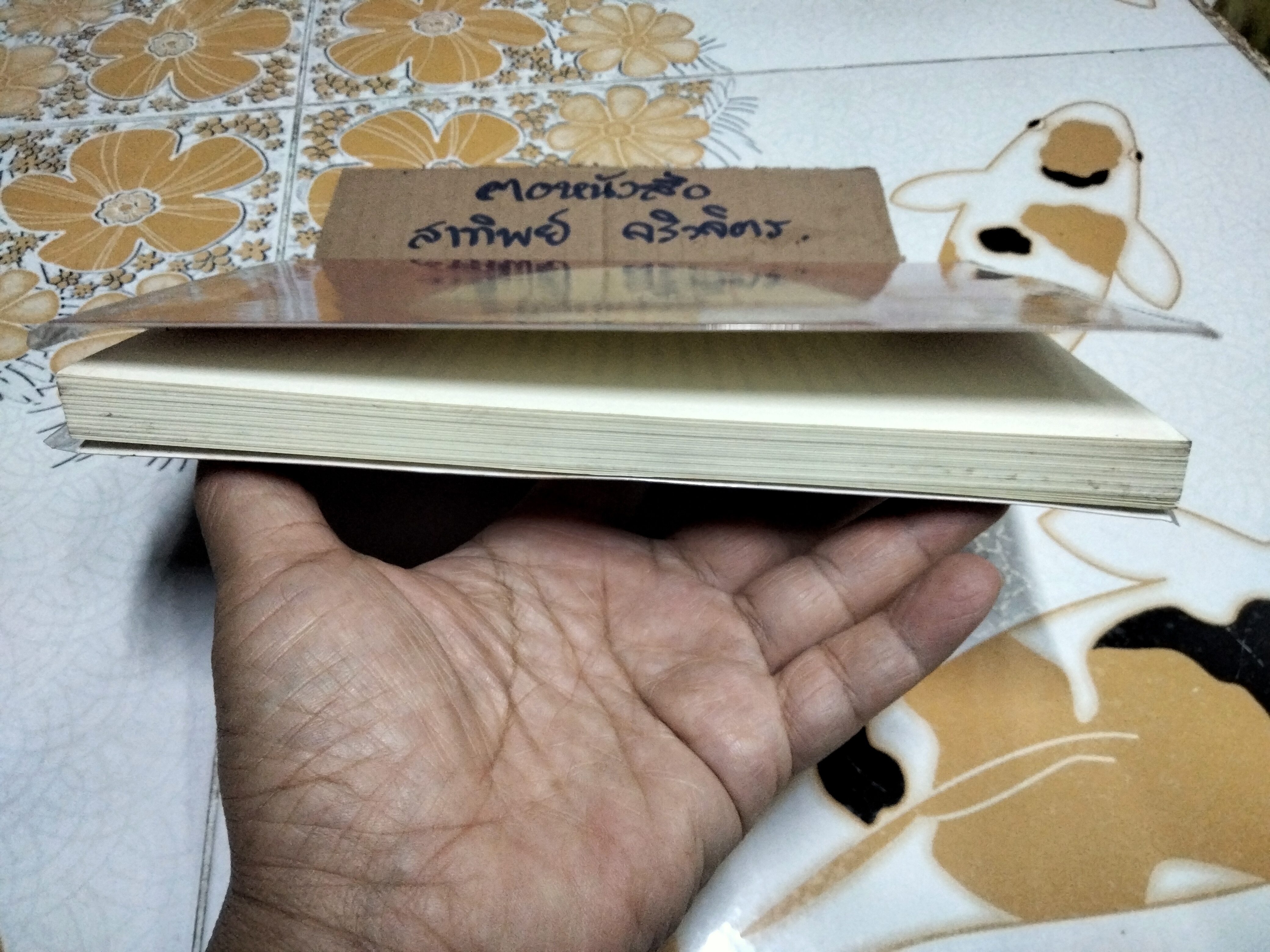 คือความเรียบง่ายภายใน Inner Simplicity ผู้เขียน อีเลน เซนต์เตมส์