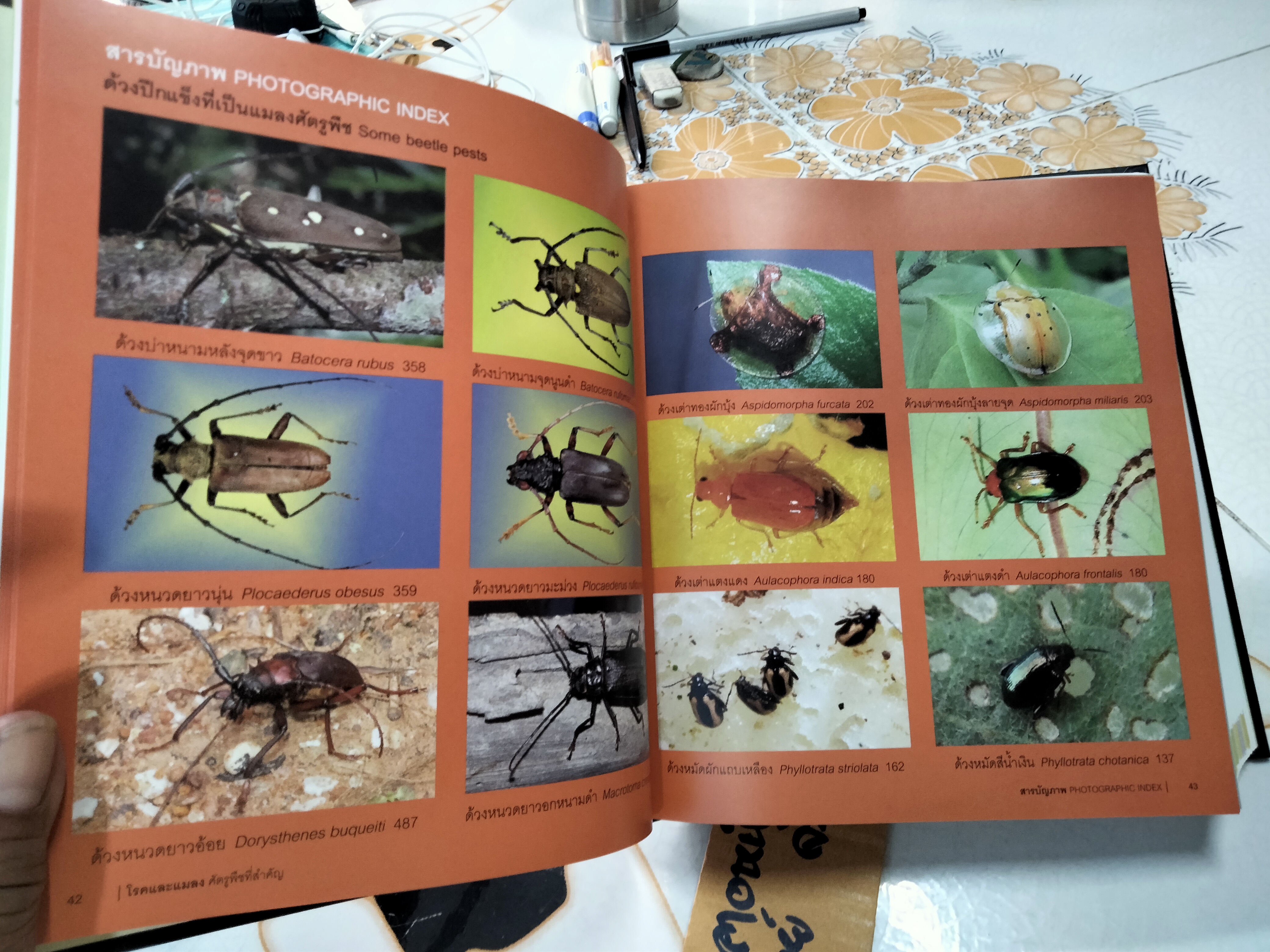 หนังสือ โรคและแมลง ศัตรูพืชที่สำคัญ - พิสุทธิ์ เอกอำนวย PLANT DISEASES AND INSECT PESTS OF ECONOMIC IMPORTANCE (พิมพ์ 2/2553) **สินค้าหมด*"