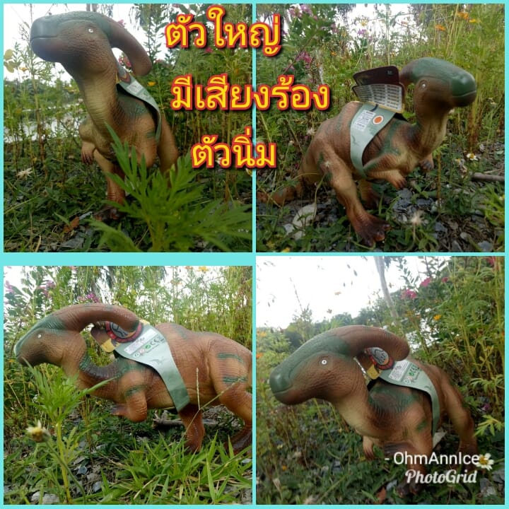 ไดโนเสาร์หัวโหนก