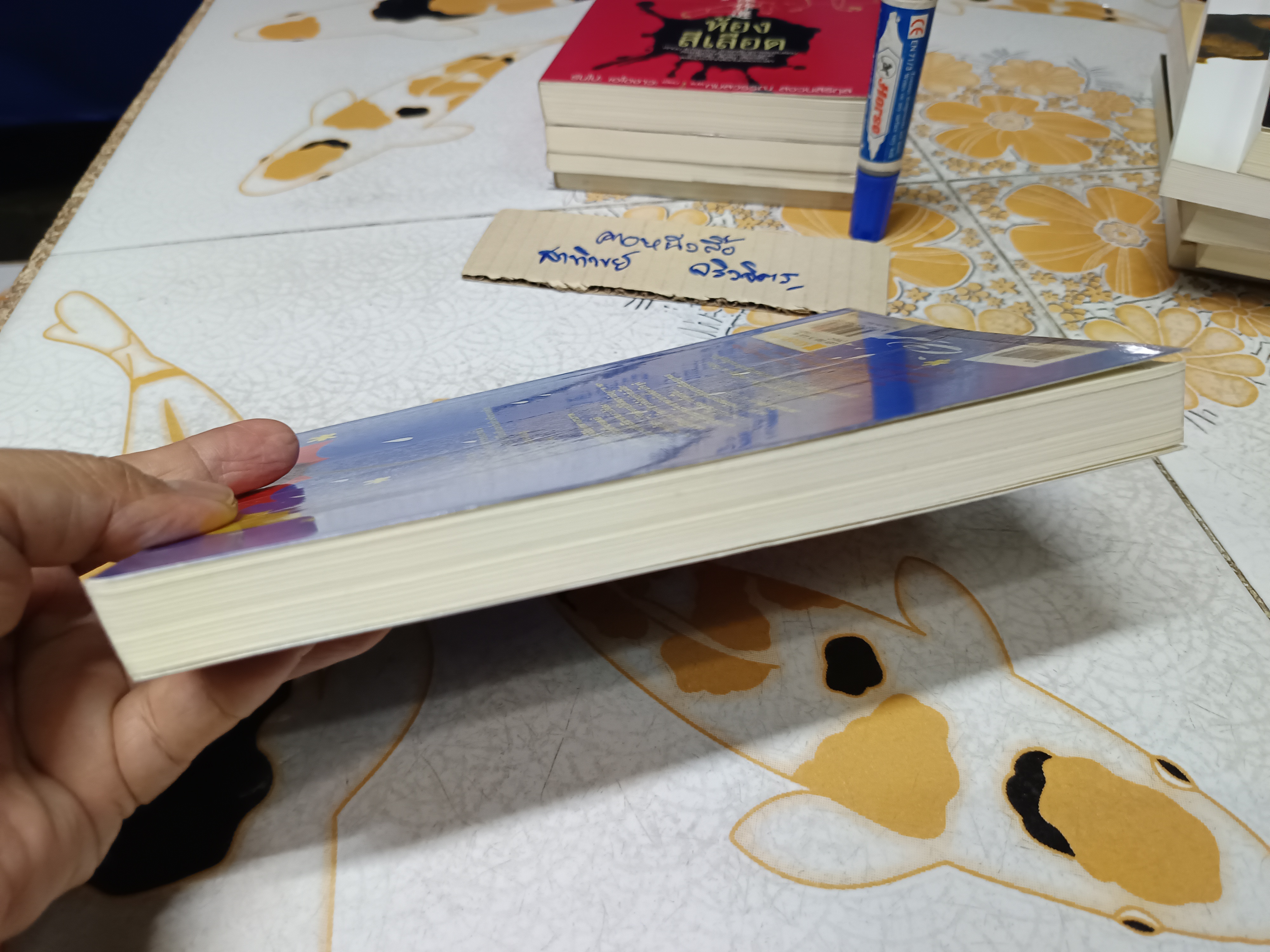 แล้วฉันจะกลับมา / อิชิคาวะ ทาคุจิ เขียน / น้ำทิพย์ เมธเศรษฐ แปล พิมพ์ครั้งแรกพ.ศ 2548