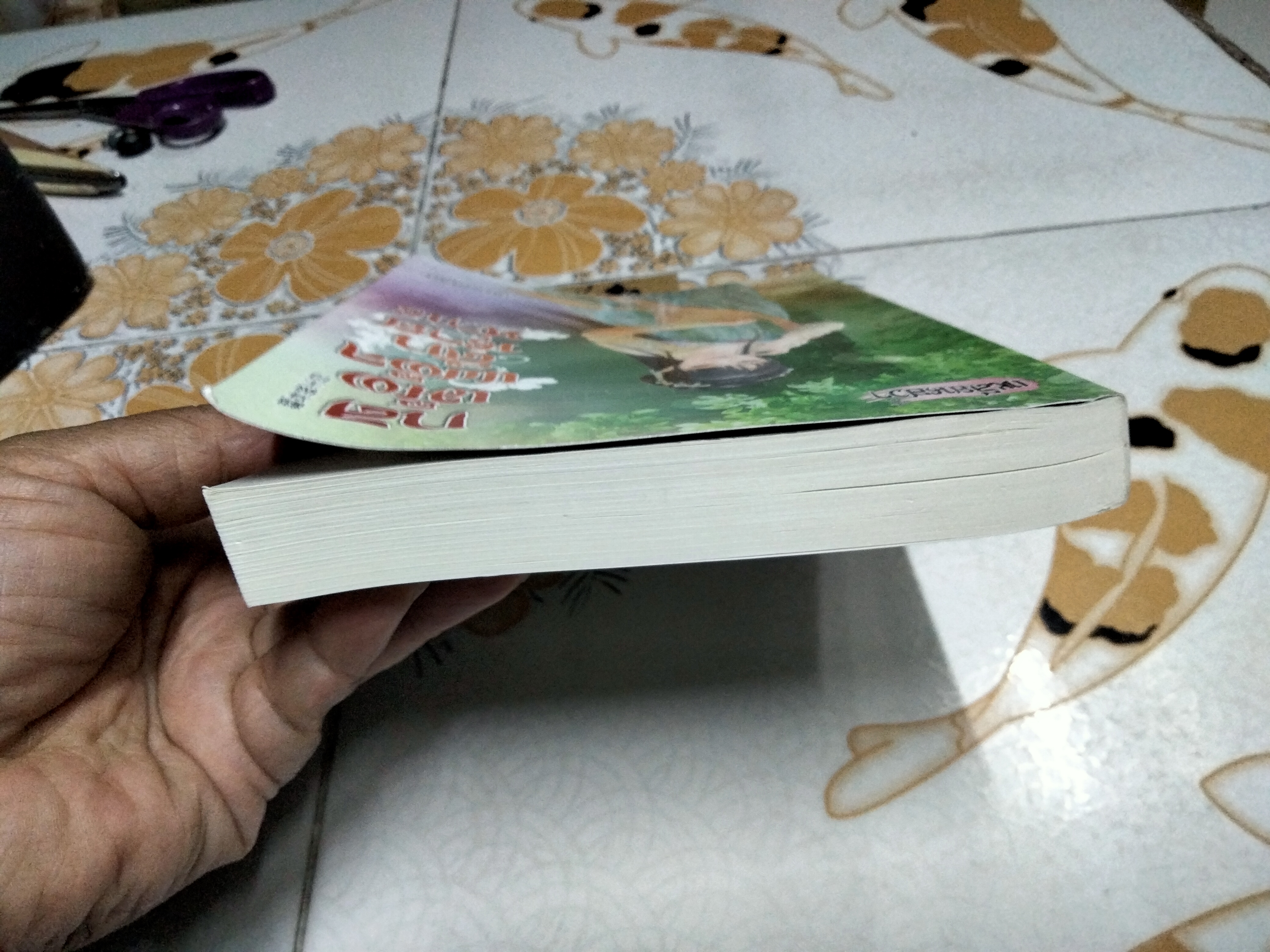 กลเม็ดเผด็จศึกนายท่าน ผู้เขียน Qian Xun (เชียนสวิน), Primavera แปล