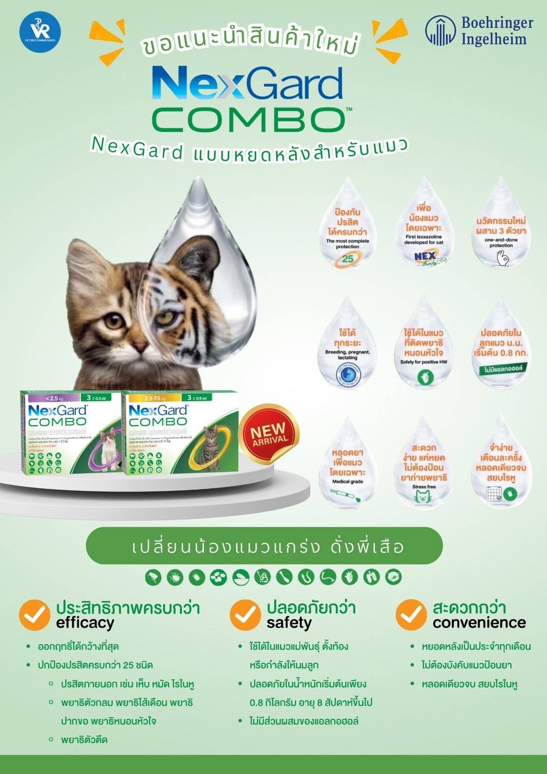 Nexgard Combo ยาเห็บหมัด หยอดหลังสำหรับแมว ป้องกันปรสิตได้อย่างครอบคลุม 25 ชนิด