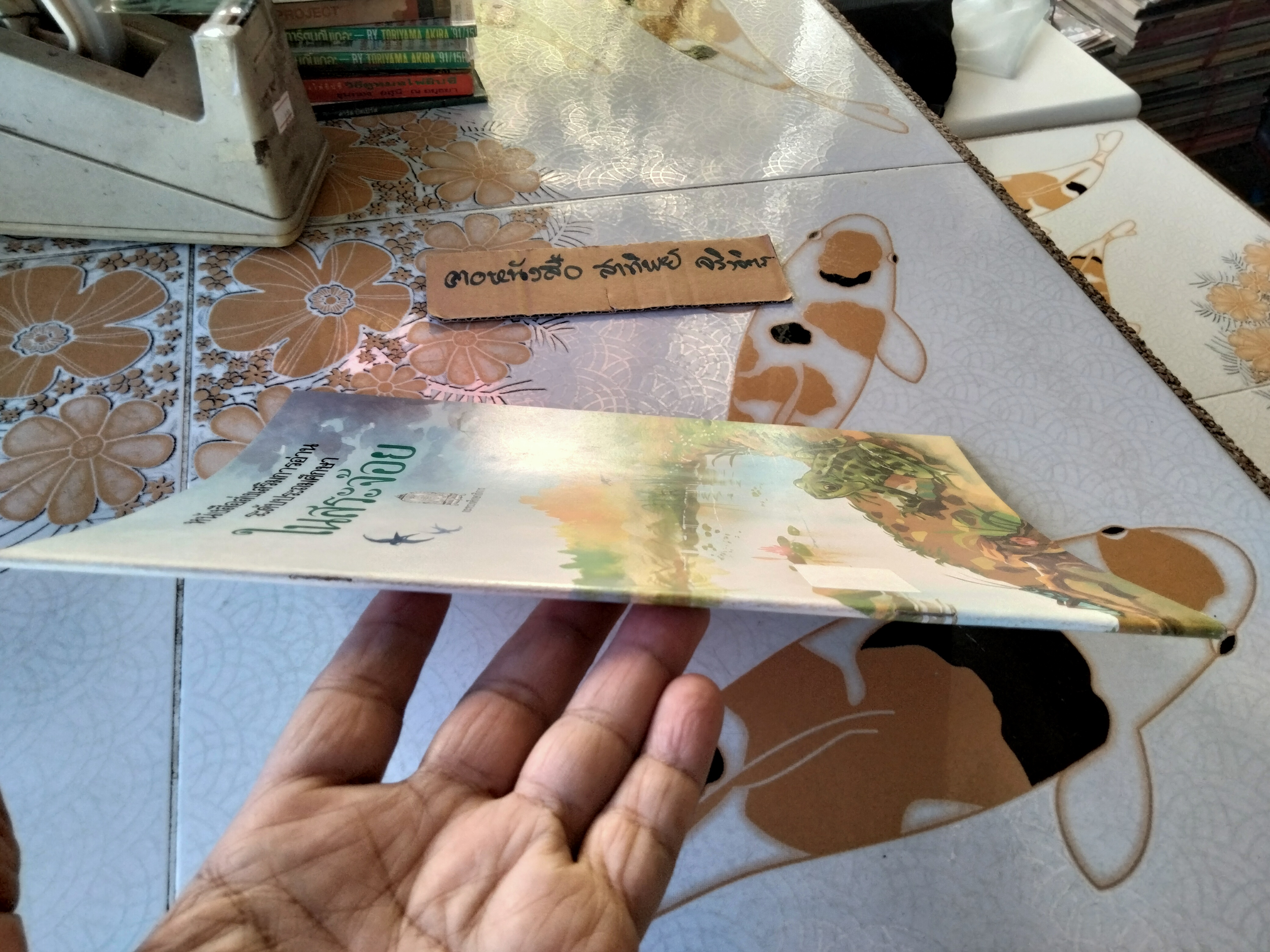 ในสระจ้อย #หนังสือส่งเสริมการอ่านระดับประถมศึกษา (หนังสือเตรียมทำหนังสือห้องสมุด-สภาพดี)