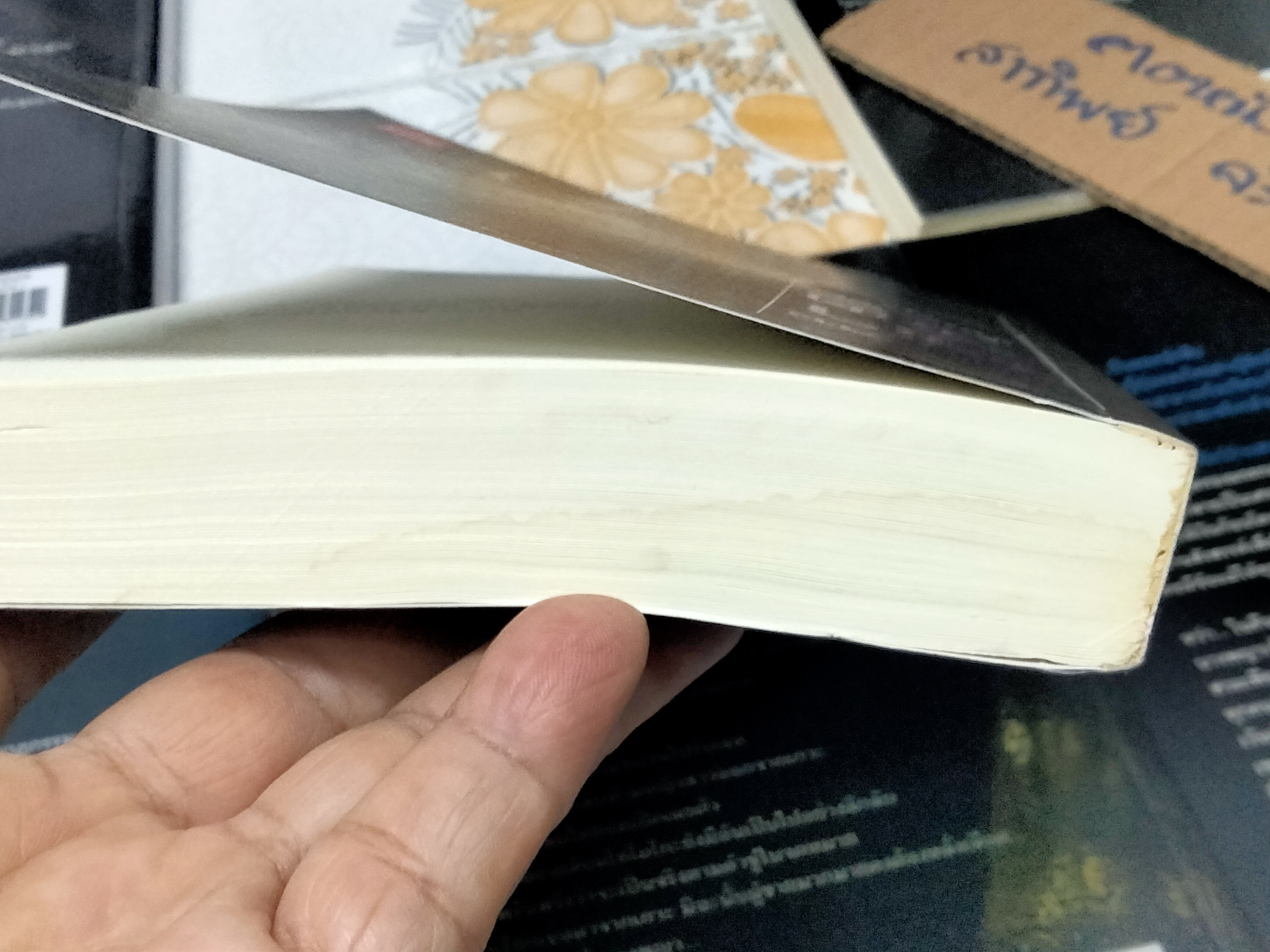 ขายยกชุด - คินดะอิจิยอดนักสืบ, นิยาย มี 23 เล่ม (มีตั้งแต่เล่ม 1-23 รวม เล่ม 17/1 และ 17/2 แล้ว) (ขาดเล่ม 5)