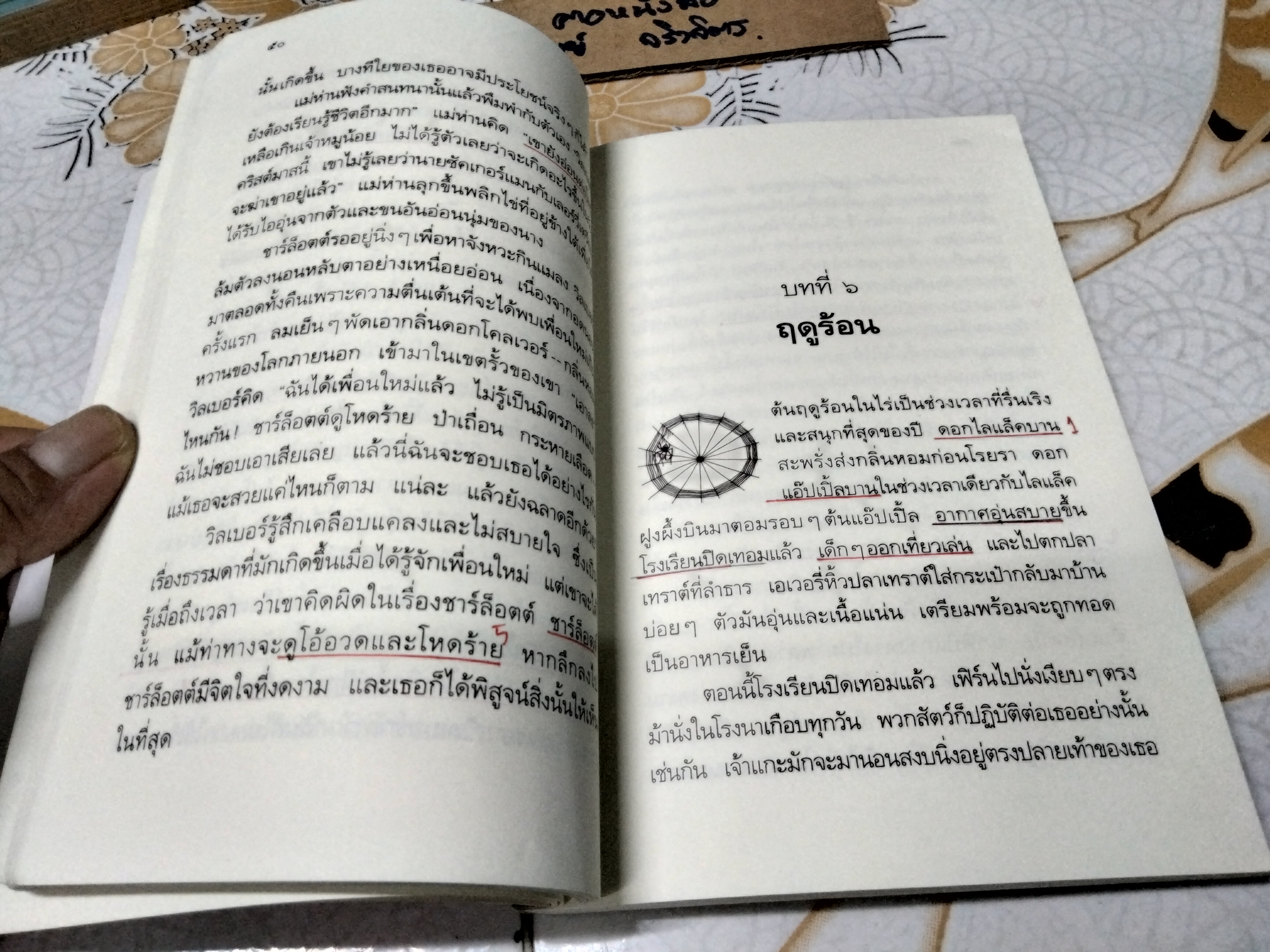 ชาร์ล็อตต์ แมงมุมเพื่อนรัก , หนังสือเด็กที่ดีที่สุดในรอบทศวรรษ ผู้เขียน E.B. White (อี. บี. ไวท์) ผู้แปล คณา คชา **สินค้าหมด**