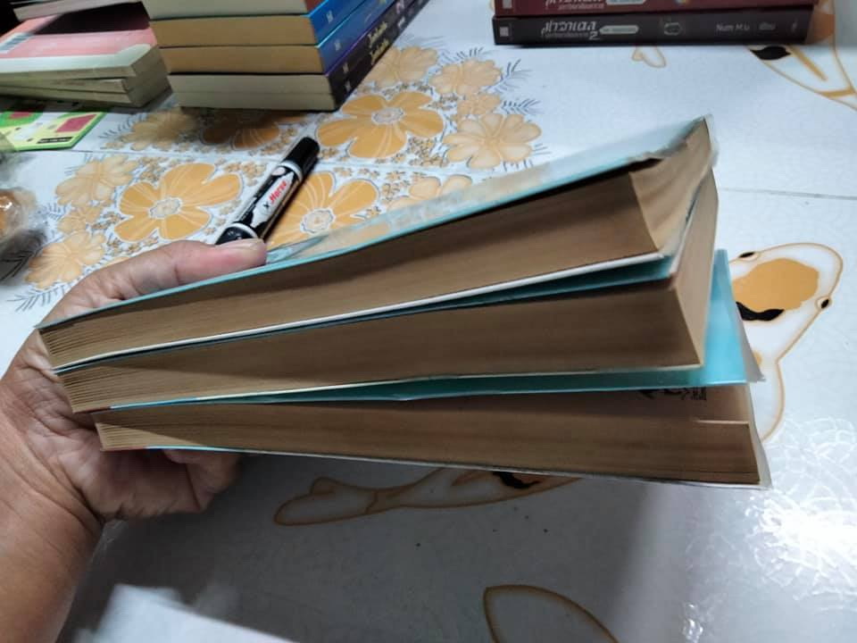 จูลี่ Julie ( วรรณกรรมไตรภาค 3 เล่มจบ) วรรณกรรมเยาวชนรางวัลเหรียญทอง Newbery Medal Book