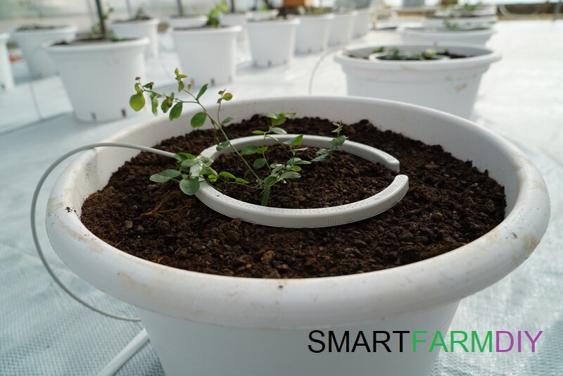 Netbow รุ่น 5 นิ้ว/ 10 นิ้ว