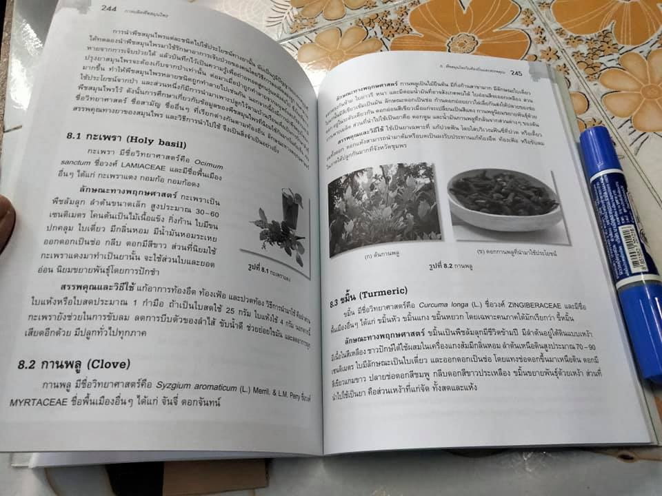 การผลิตพืชสมุนไพร - มณฑา ลิมปิยประพันธ์