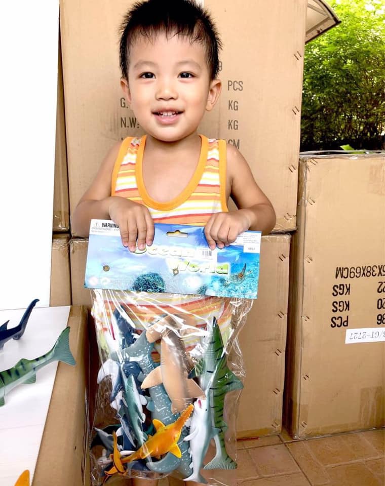 โมเดลฉลาม 11 ตัว