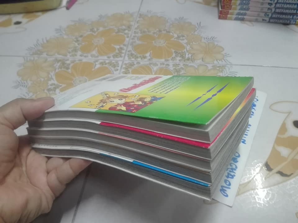 บัลเล่ต์สู่ฝัน ( 5 เล่มจบ ) - MEGUMI MIZUSAWA **สินค้าหมด**