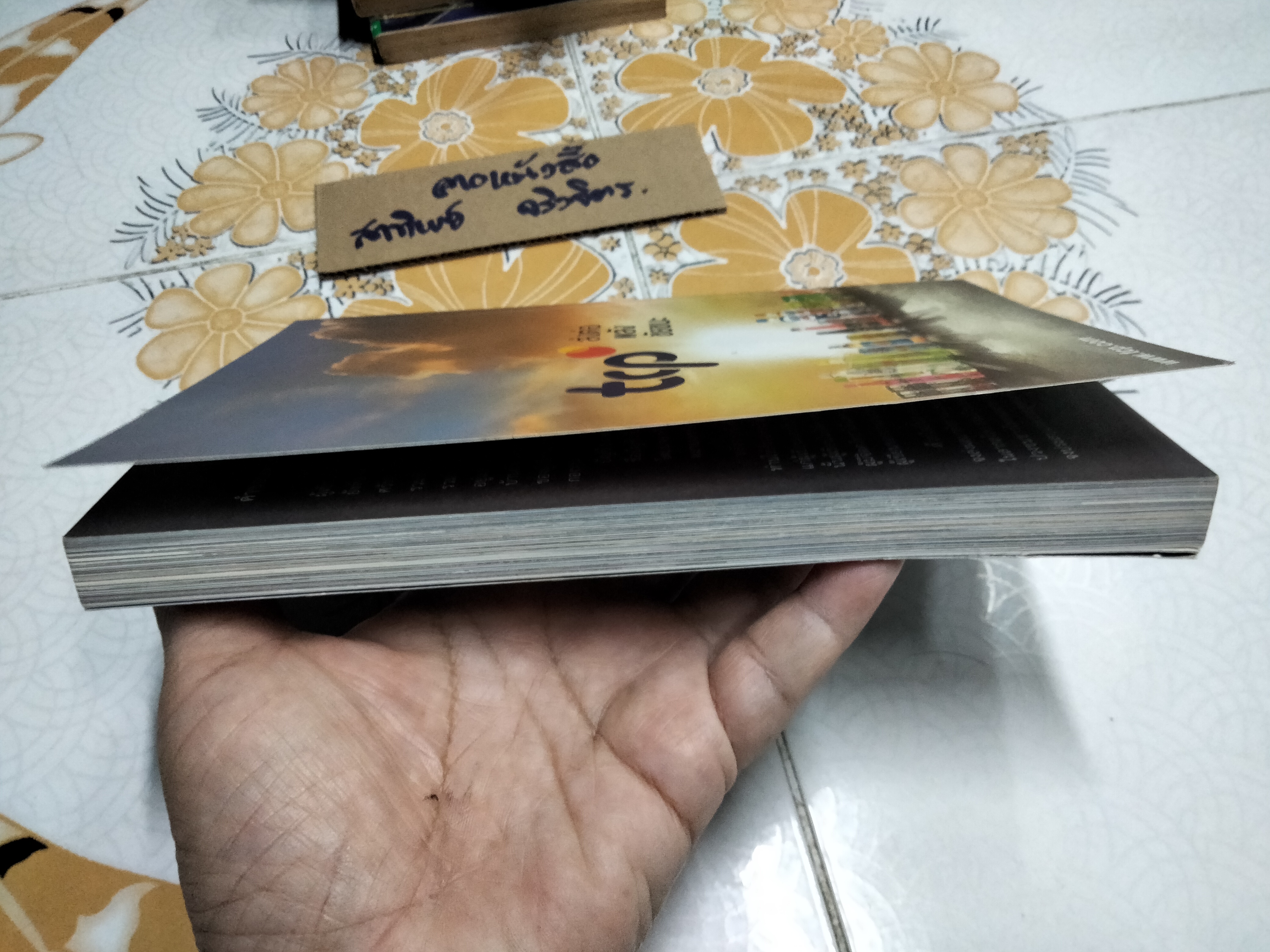 ขุมทรัพย์ชายแดนไทย โดย กริช อึ้งวิฑูรสถิตย์