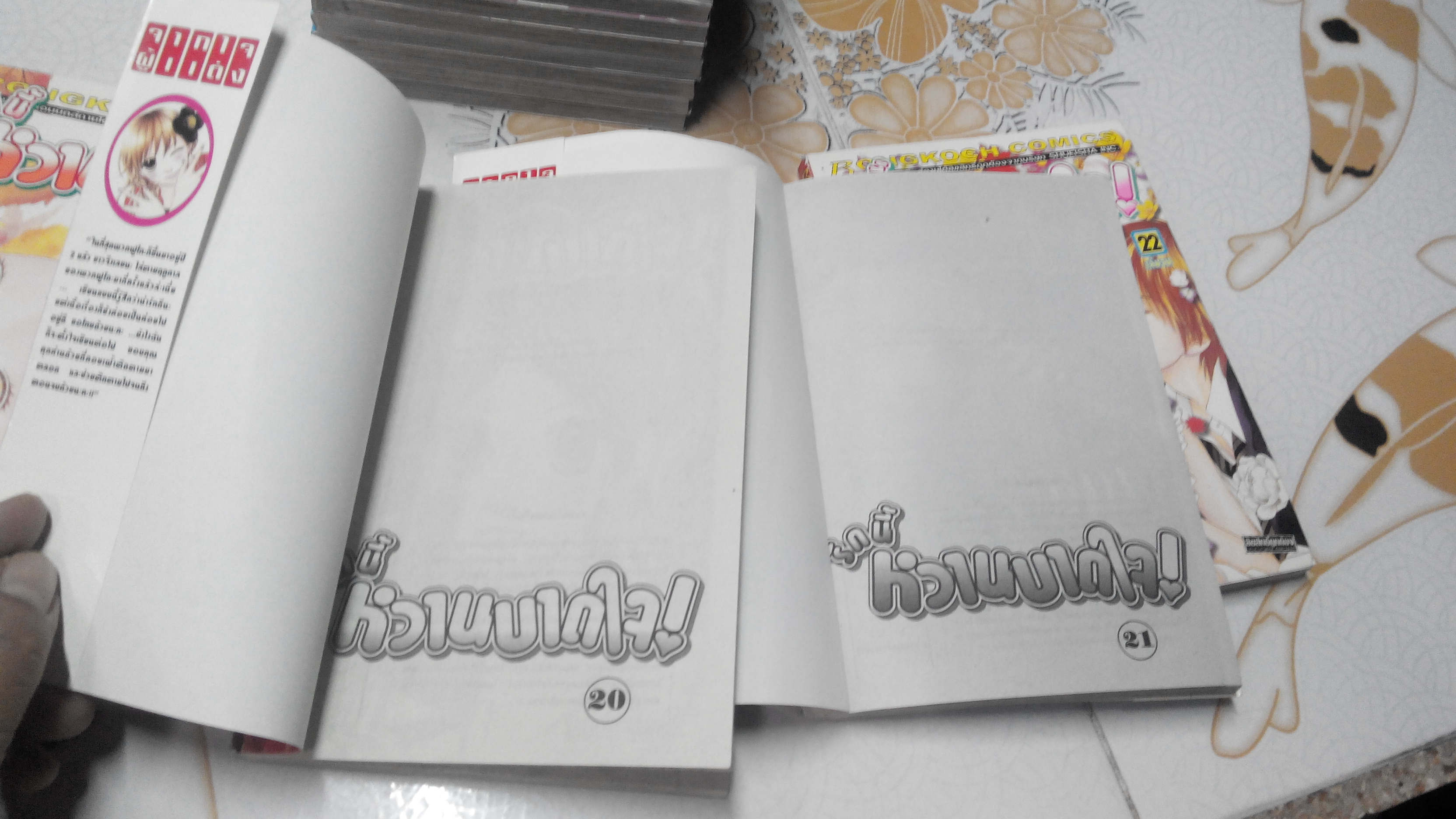 รักนี้หวานบาดใจ NAGAMU NANAJI (22 เล่มจบ ) **สินค้าหมด**