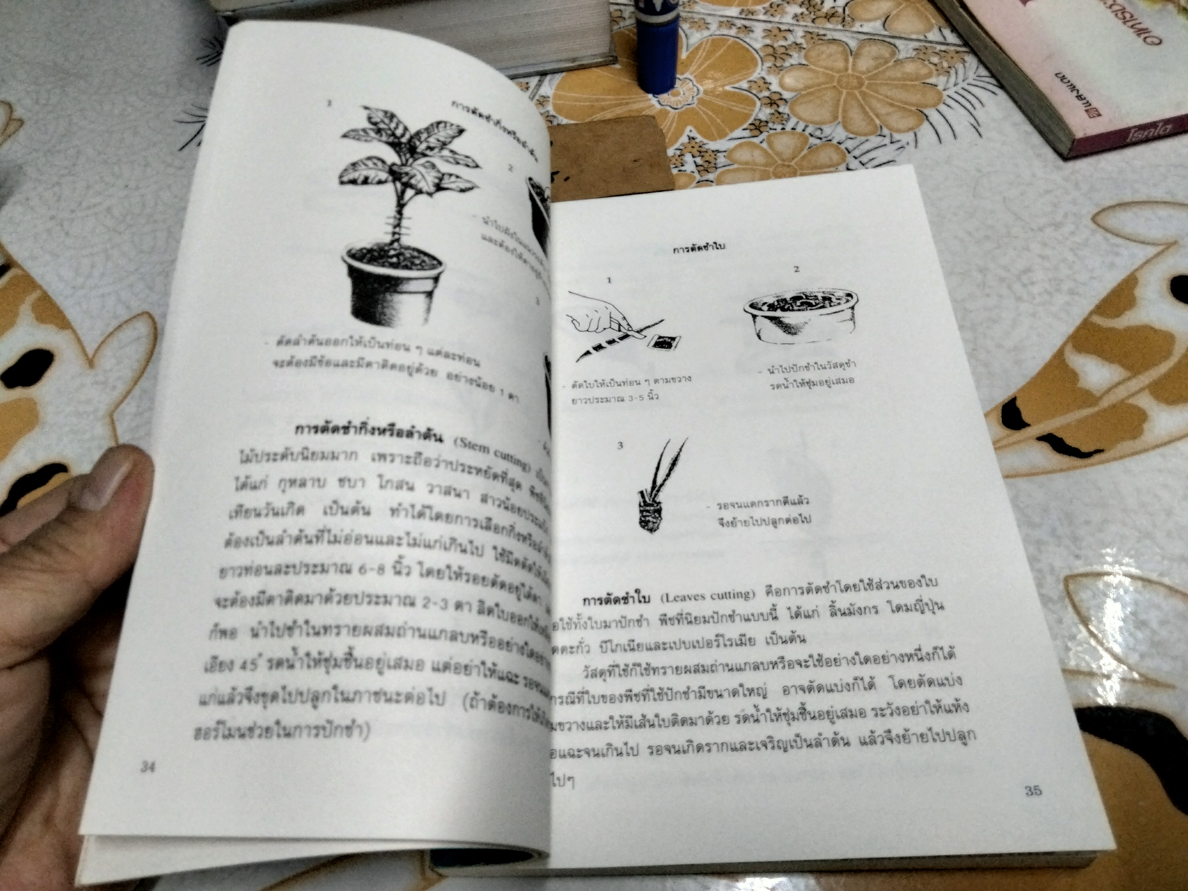 คู่มือไม้ใบประดับภายในอาคาร จัดทำโดย ชมรมพัฒนาไม้ดอกไม้ประดับ (พิมพ์ปี 2536)