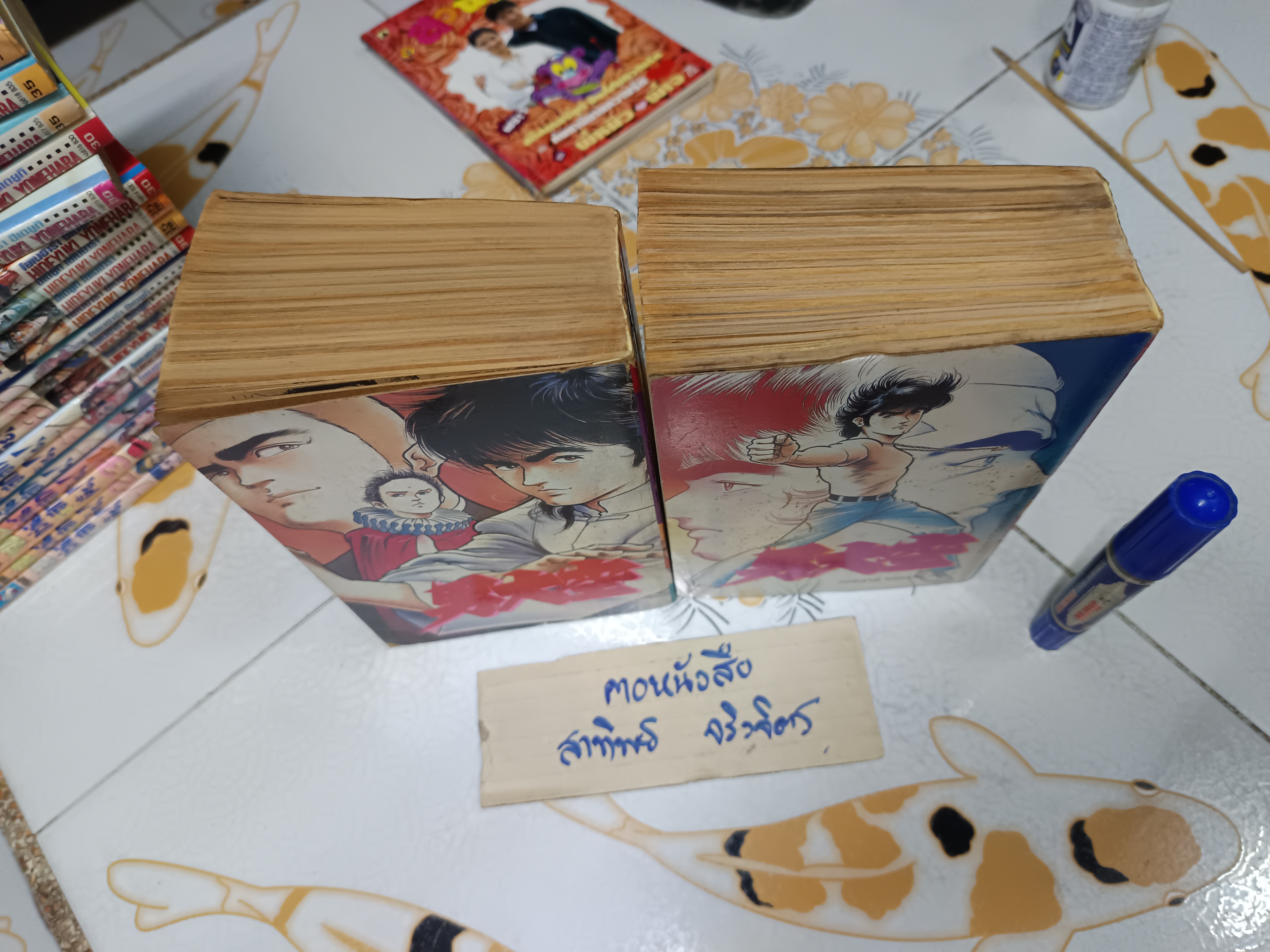 เลือดนักสู้ ( 2 เล่มจบ) อิเคงามิ เรียวอิจิ