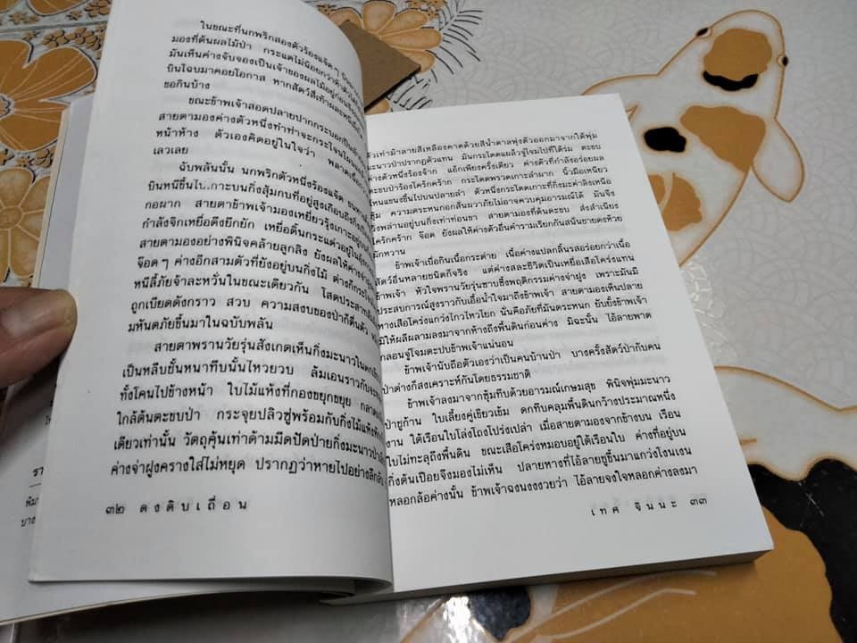 ดงดิบเถื่อน โดย เทศ จินนะ **สินค้าหมด**