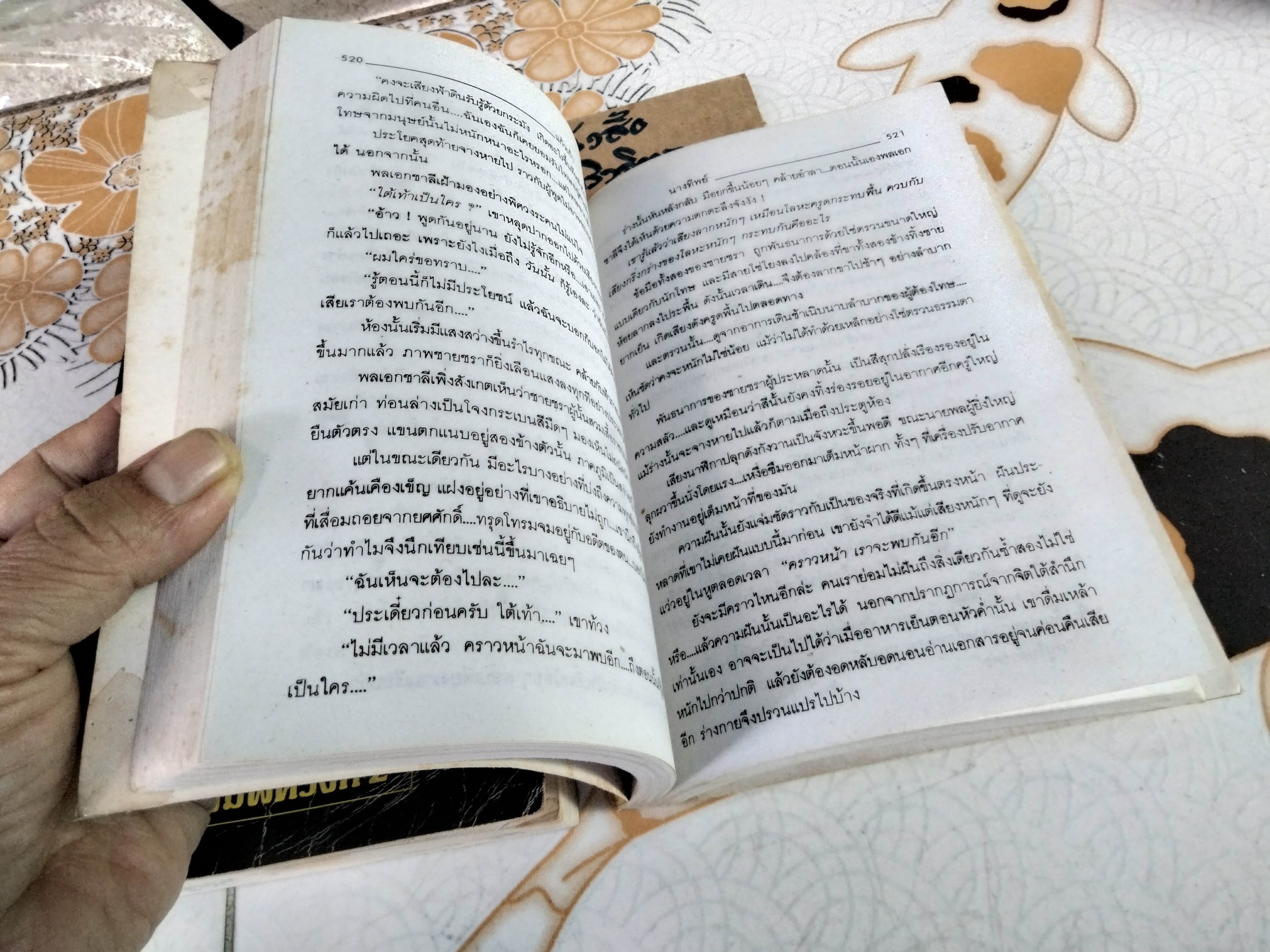 นางทิพย์ (2 เล่มจบ) แก้วเก้า (เช่า+บ้าน) **สินค้าหมด**