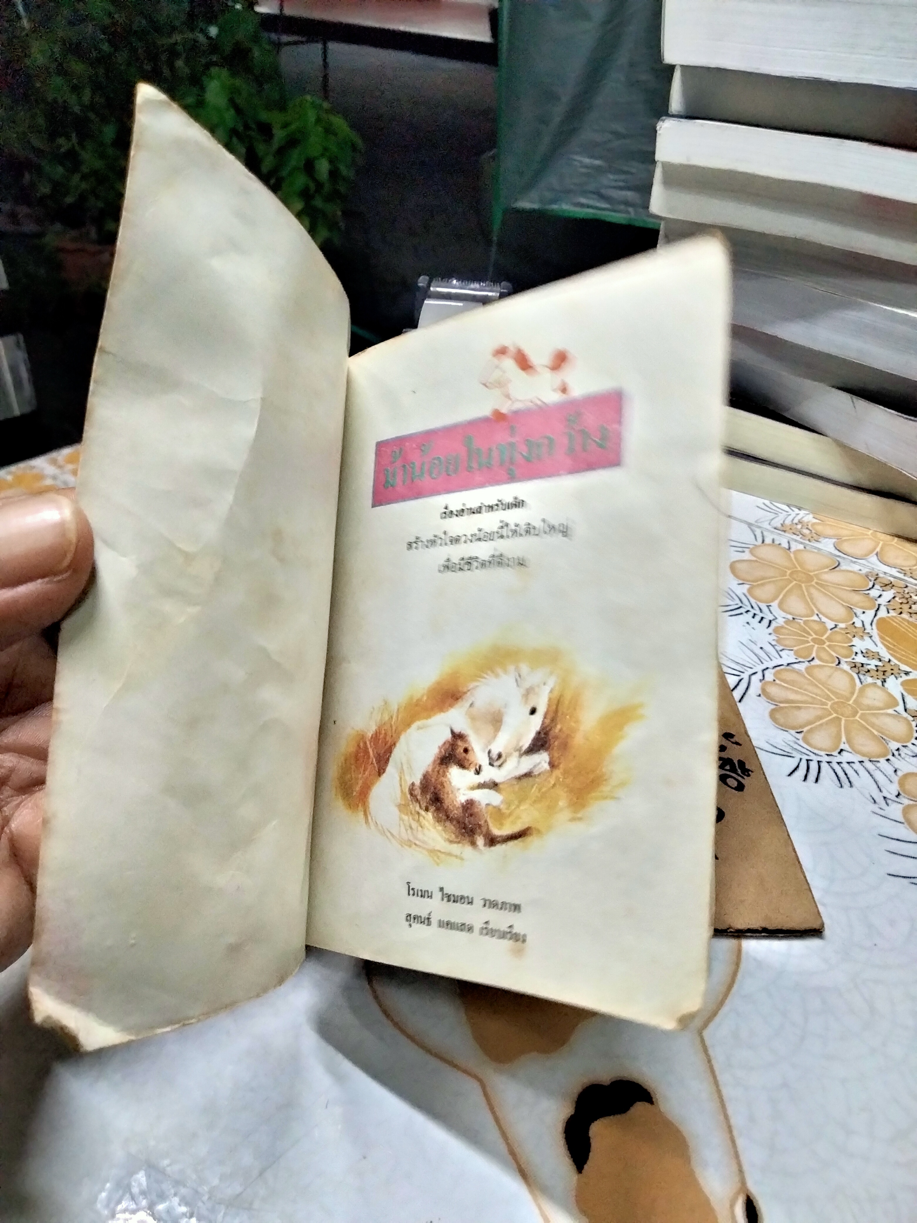 นิทานสำนักพิมพ์สตรอเบอรี่ - ม้าน้อยในทุ่งกว้าง **สินค้าหมด**