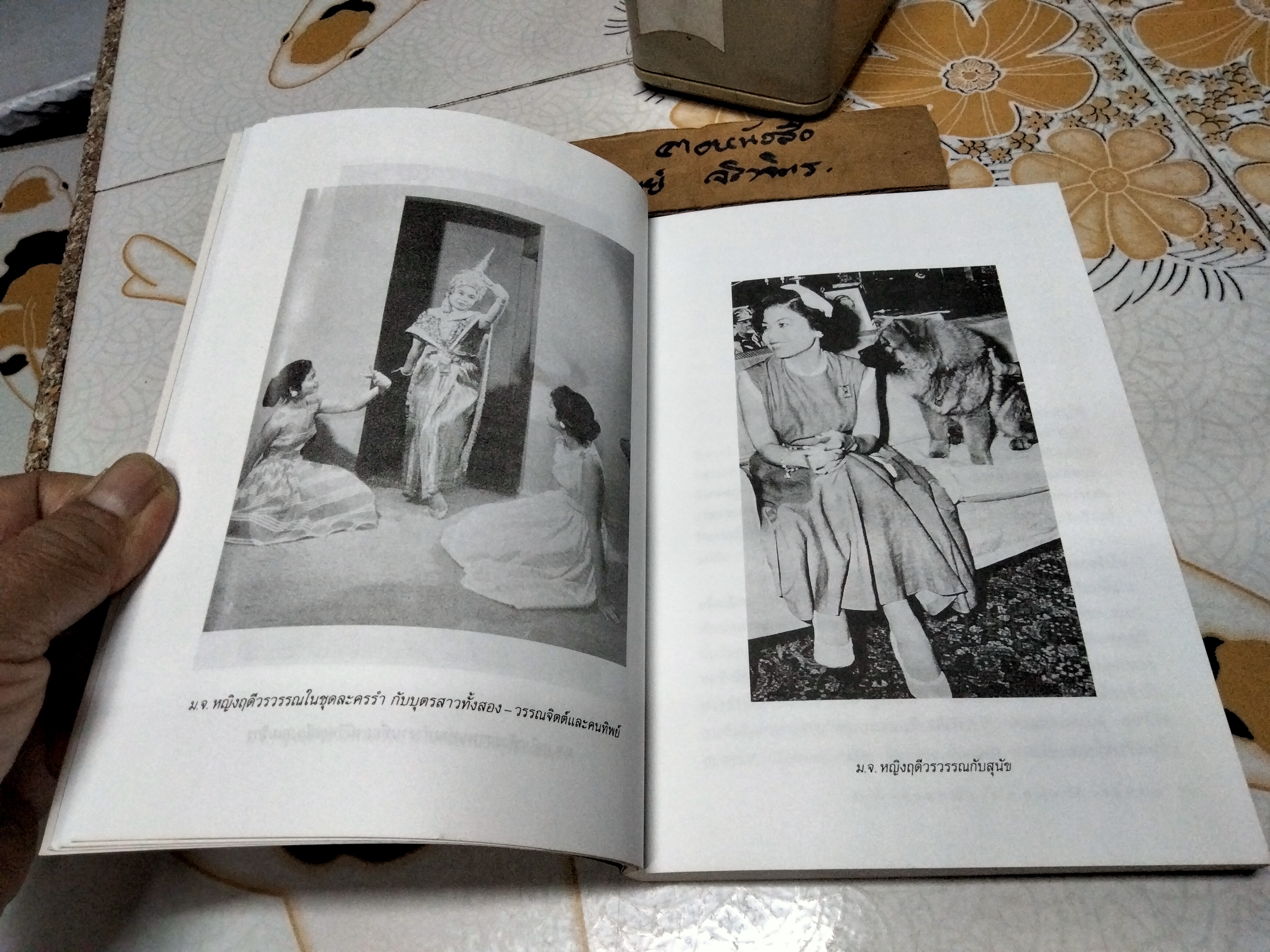 บันทึกท่านหญิง ม.จ. หญิงฤดีวรวรรณ เขียน แก้วสุวรรณ แปล (พงษ์ลดา อิทธิเมฆินทร์) สำนักพิมพ์ดับเบิ้ลนายน์ พิมพ์ครั้งแรก พ.ศ. 2544 **สินค้าหมด**