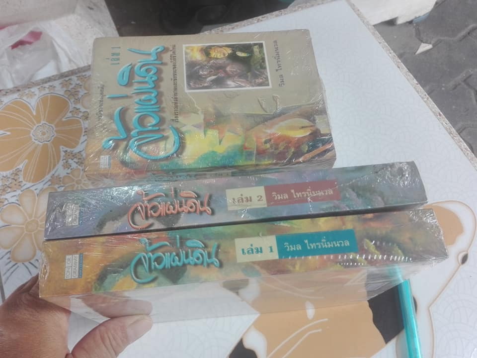 จ้าวแผ่นดิน (2 เล่มจบ) โดย วิมล ไทรนิ่มนวล