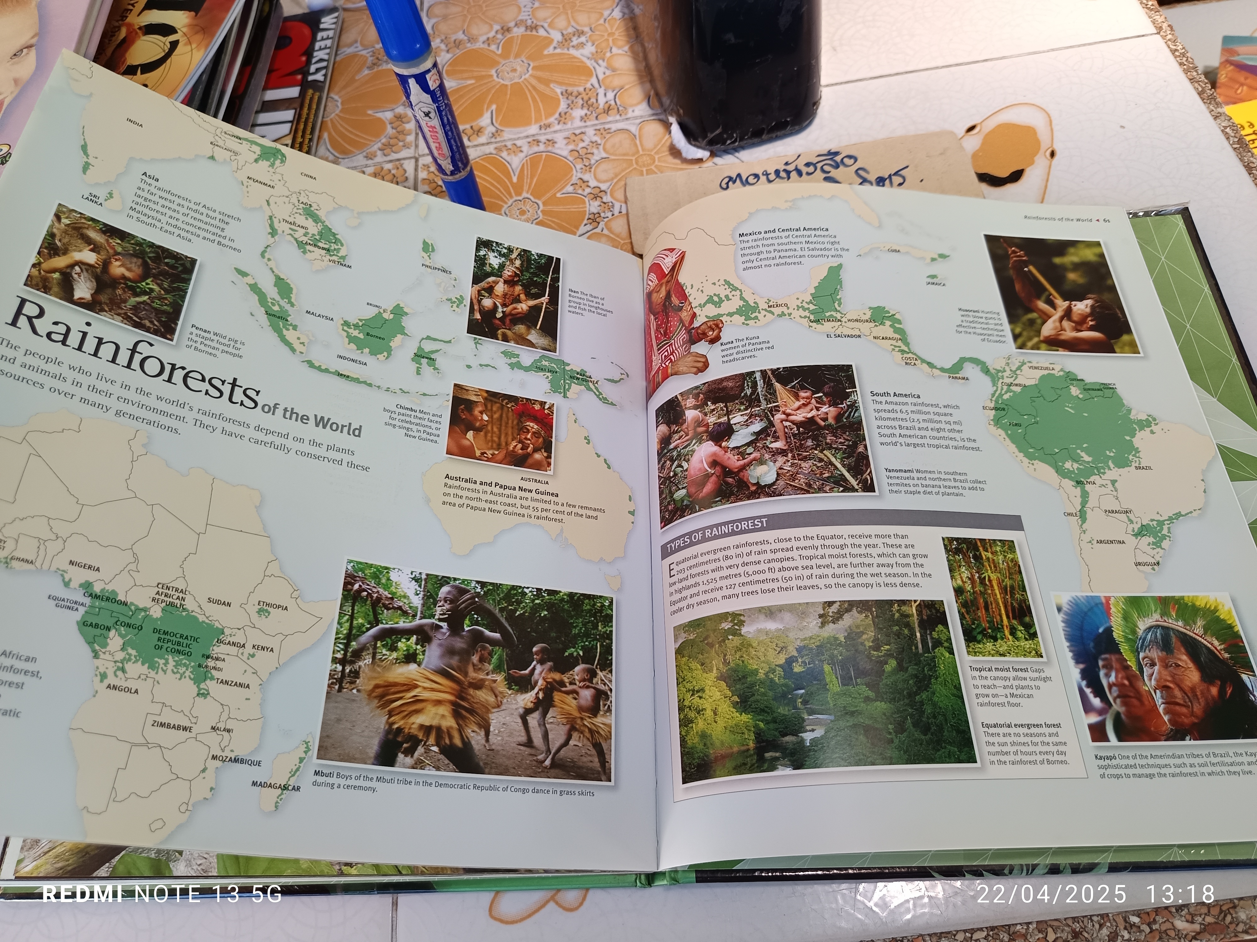 Rainforest , A Templar book , first printed 2008 ฉบับภาษาอังกฤษ