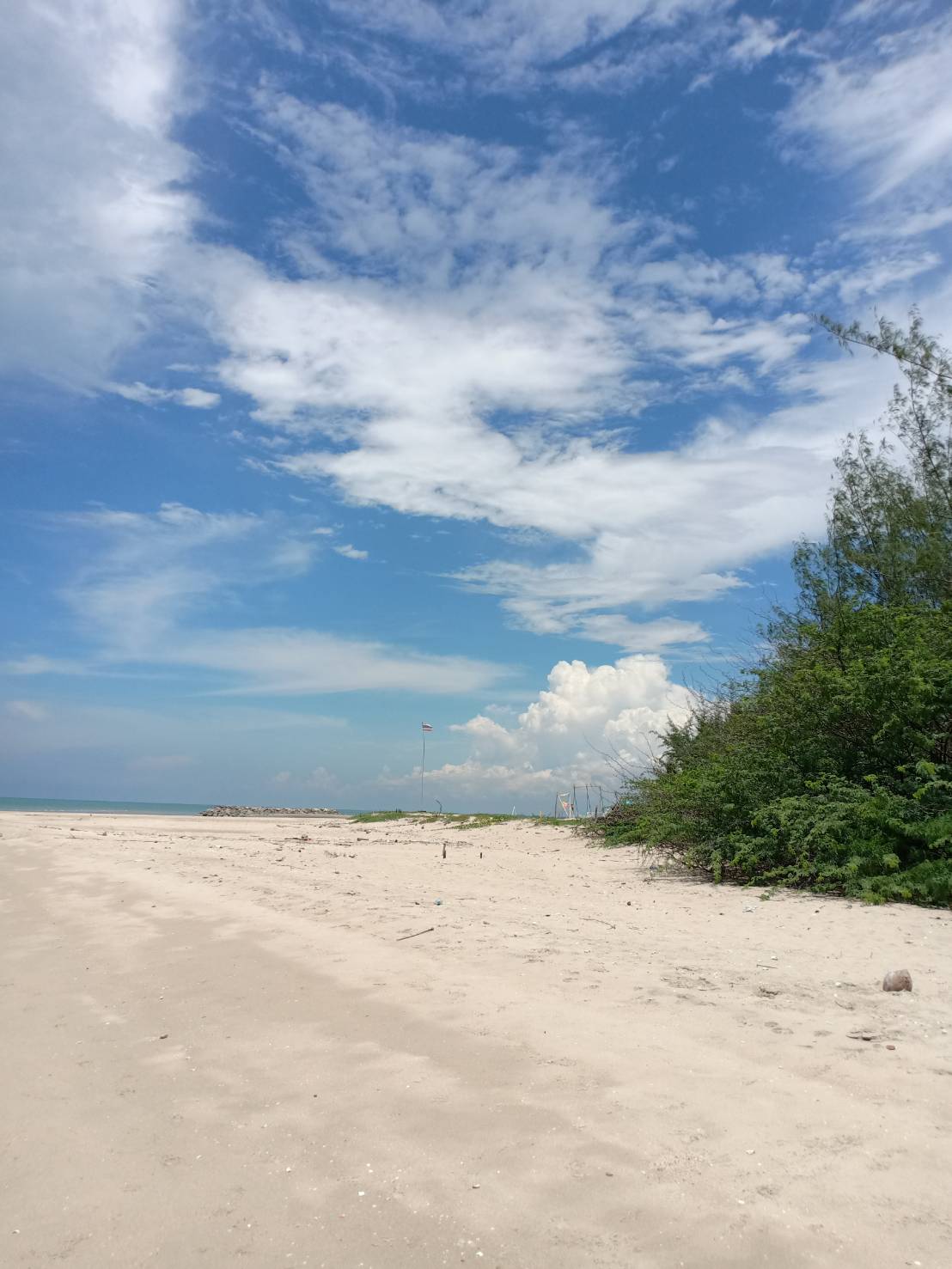 ขายที่ดิน ติดทะเล1ไร่1งาน8ตรว หาดเจ้าสำราญ เพชรบุรี ราคา28ล้านรวมภาษีรวมโอน