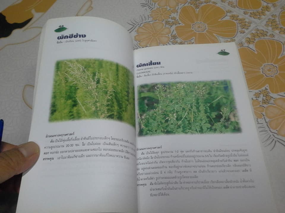 เภสัชกรรมแผนไทย โดยสถาบันการแพทย์ไทยกรมการแพทย์กระทรวงสาธารณสุข **สินค้าหมด**