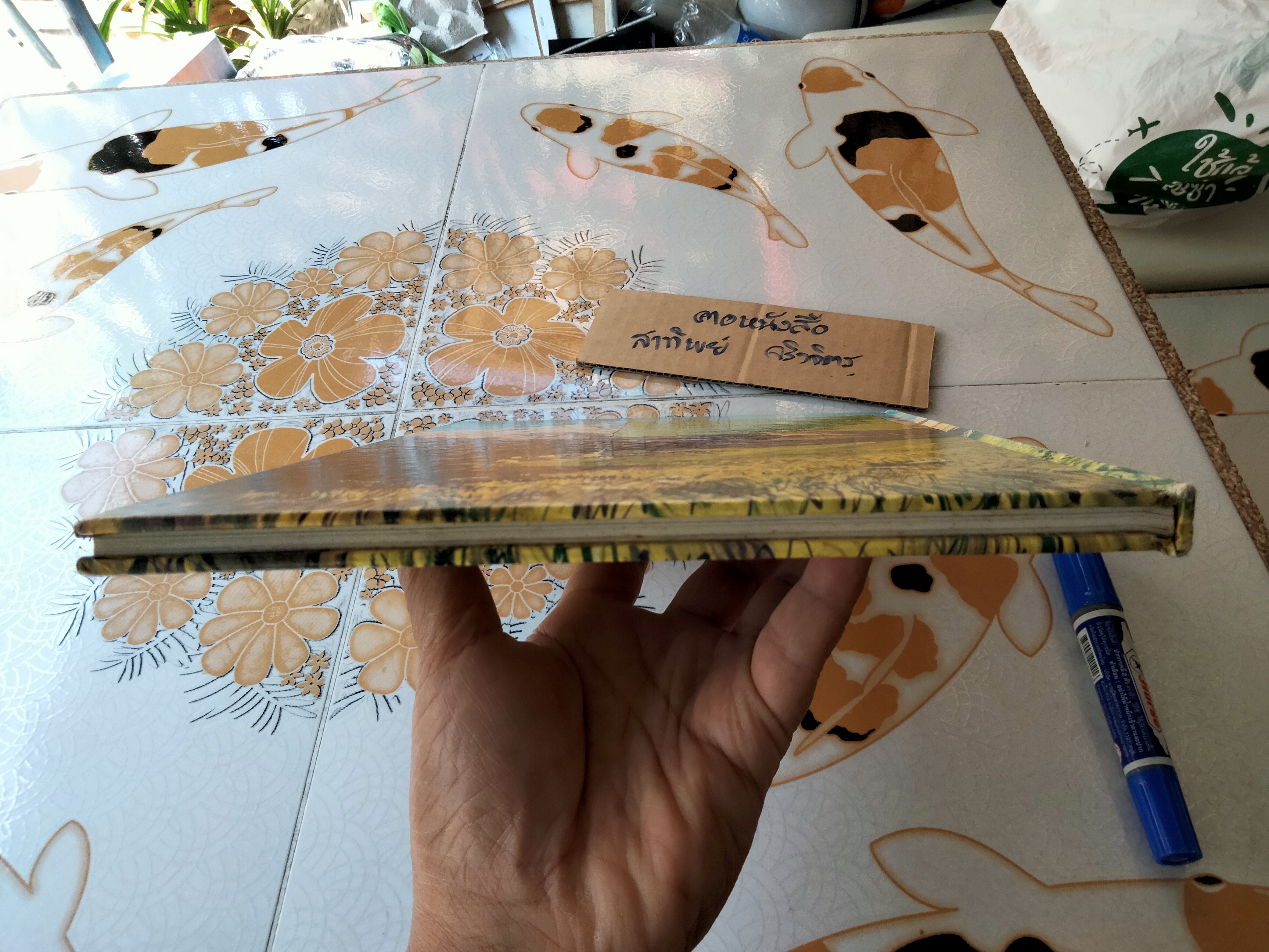 Heidi - Johanna Spyri Award Adventure Classics (มือสองปกแข็ง) ภาพประกอบโดย JOHN WORSLEY **สินค้าหมด**