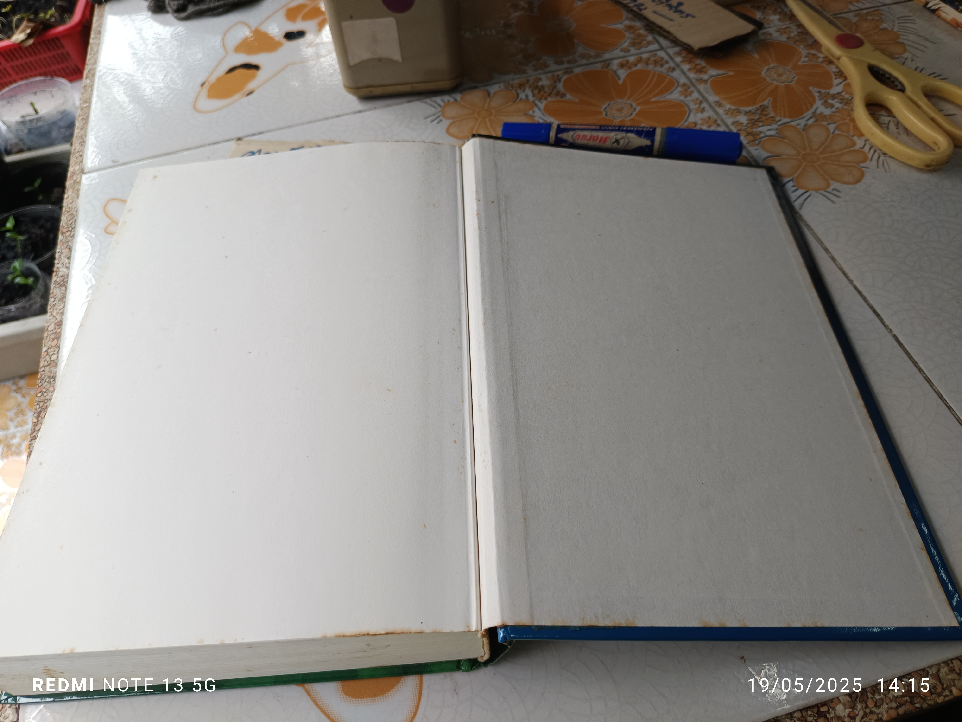 Managing Cultural Differences : Global Leadership Strategies for the 21st Century, 6th edition