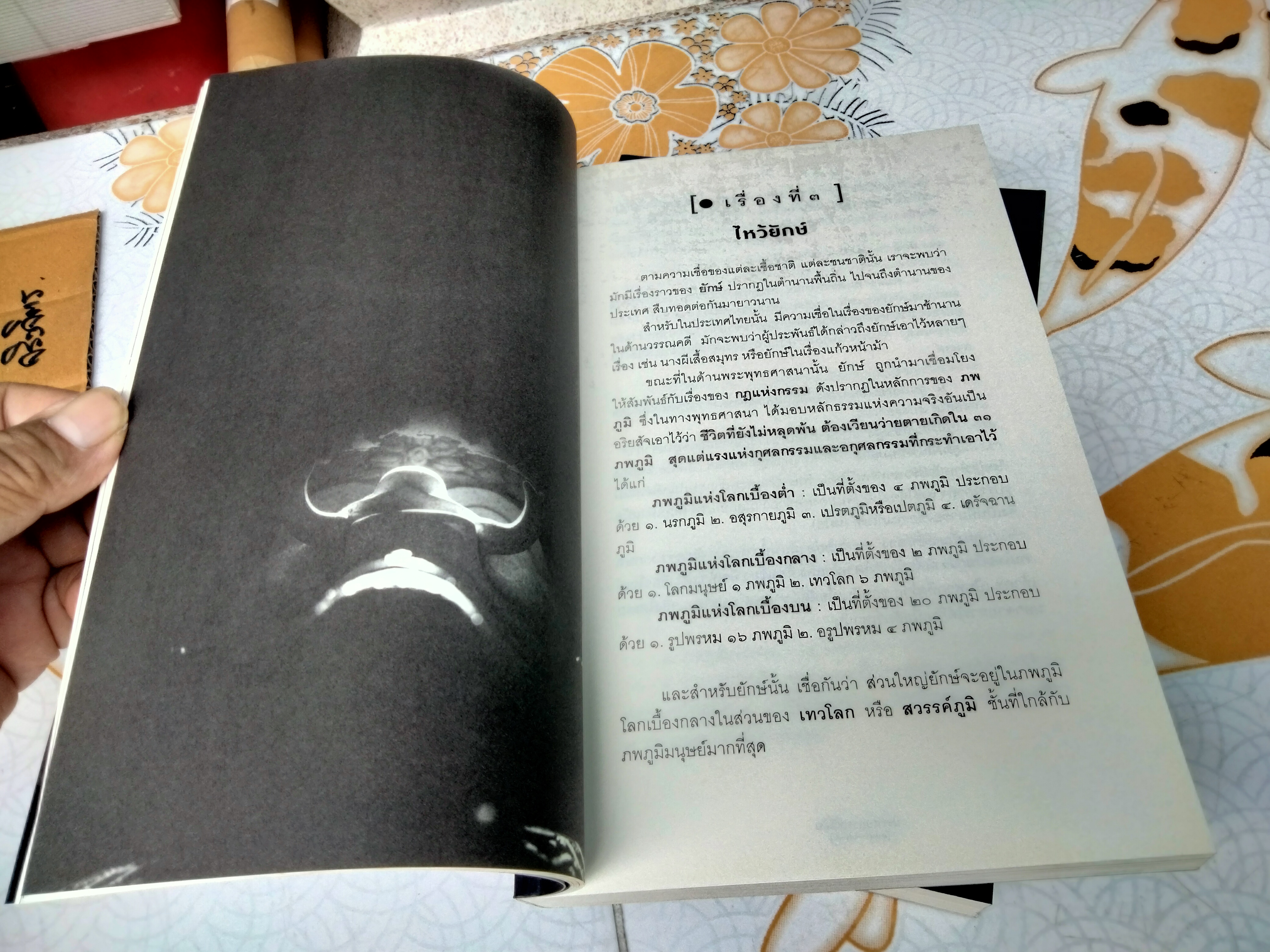 ประสบการณ์ลี้ลับ (บันทึกจากเรื่องจริง) โดย กฤษณะ พราหมณ์ และกองบรรณาธิการข่าว Think Beyond Believe