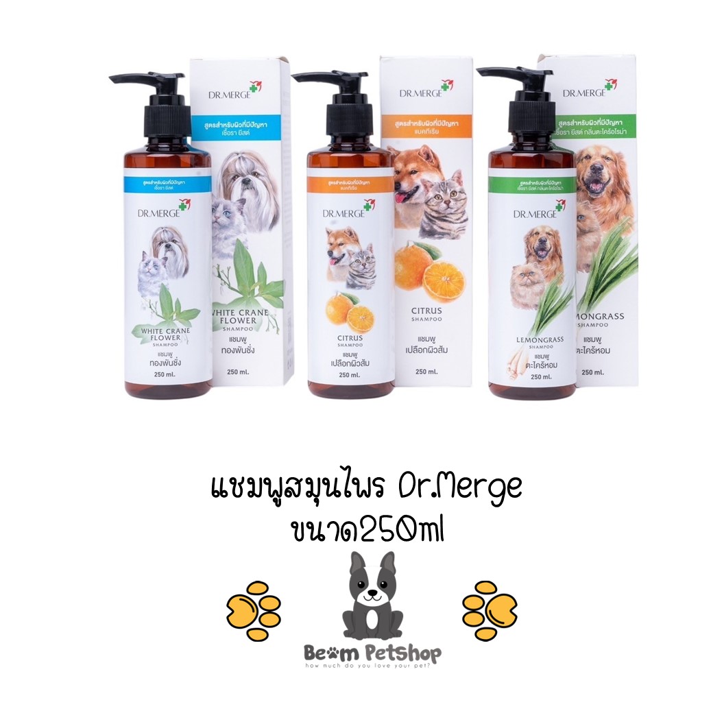 Dr.Merge shampoo ขนาด 250 ml แชมพูทองพันชั่ง สมุนไพร กำจัดเชื้อรา ยีสต์ แบคทีเรีย สุนัข-แมว