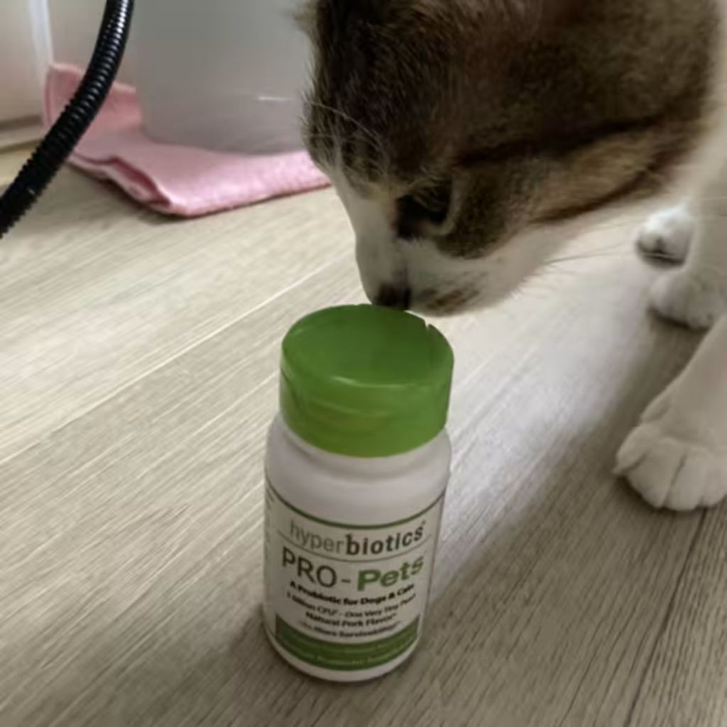 Hyperbiotics® Pro-Pets Probiotic For Dogs&Cats 60 Micro-Pearls โพรไบโอติกส์ สำหรับสุนัขและแมว