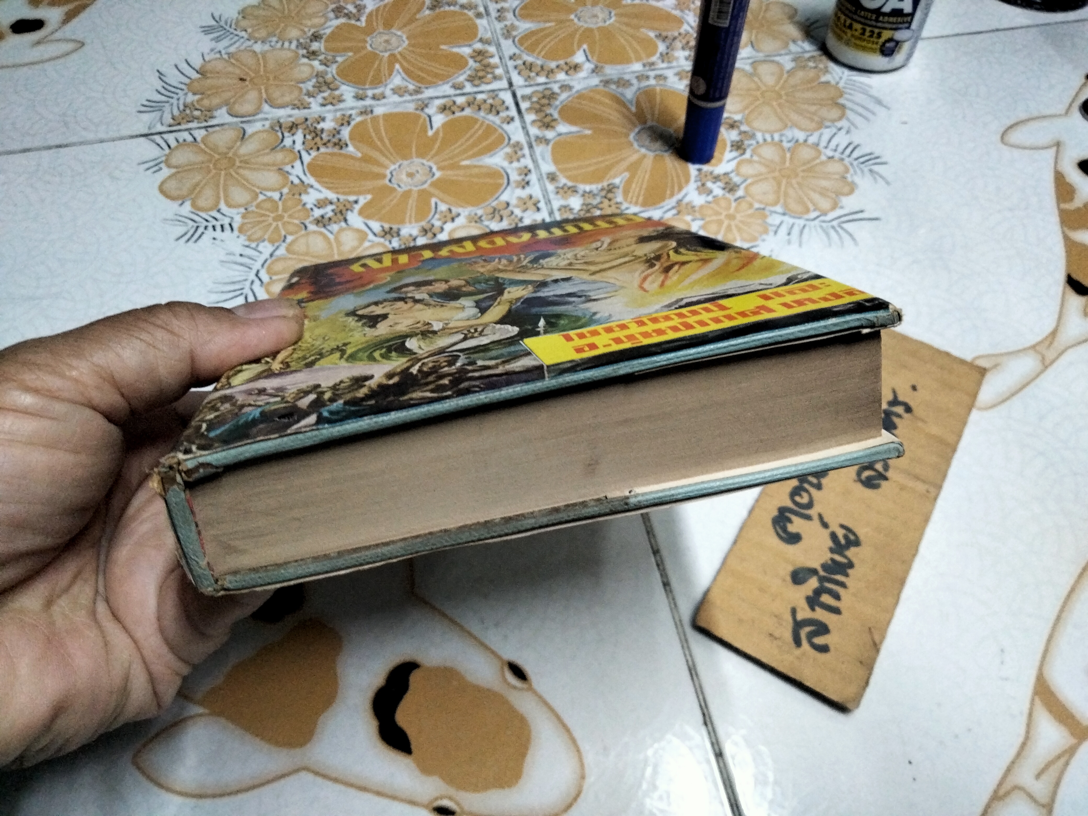 สาวสองพันปี ‘ไชยวัฒน์’ และ อ.บุษปเกศ แปลจาก She ของ เซอร์ เอช ไรเดอร์ แฮกการ์ด