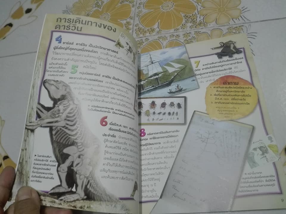 หนังสือชุด 100 เรื่องน่ารู้เกี่ยวกับ วิวัฒนาการ (ลำดับที่ 39) **สินค้าหมด*"