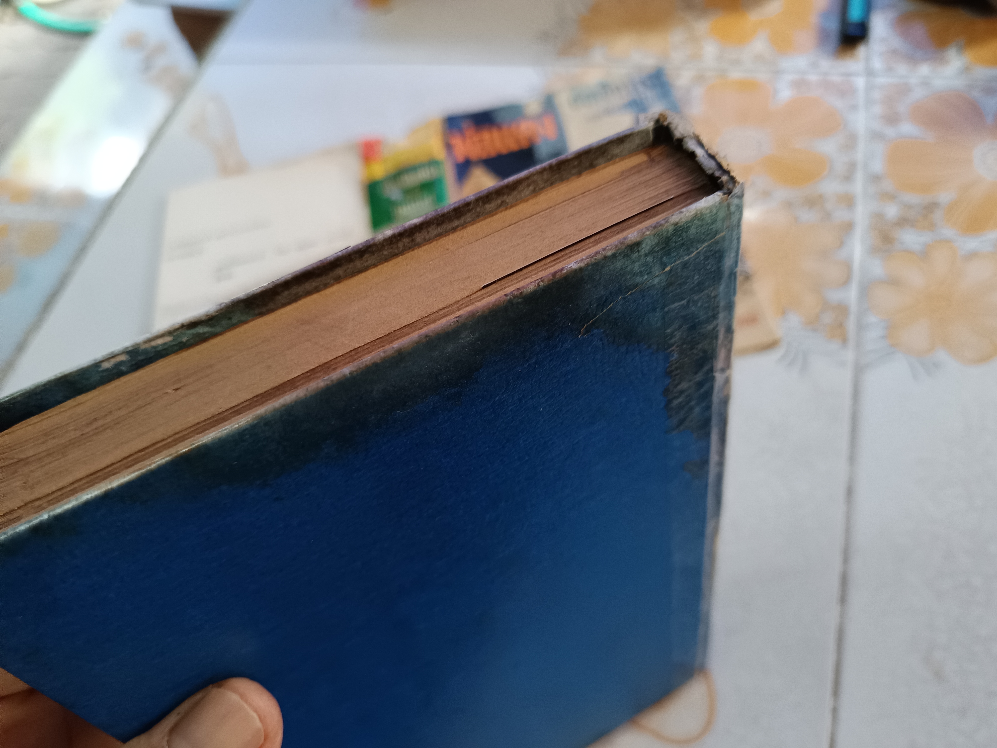 พ่อแดง - อันเป็นที่รักแห่งเหมันต์ ( 2 เรื่องในเล่มเดียวกัน) วาดปก - เหม เวชกร