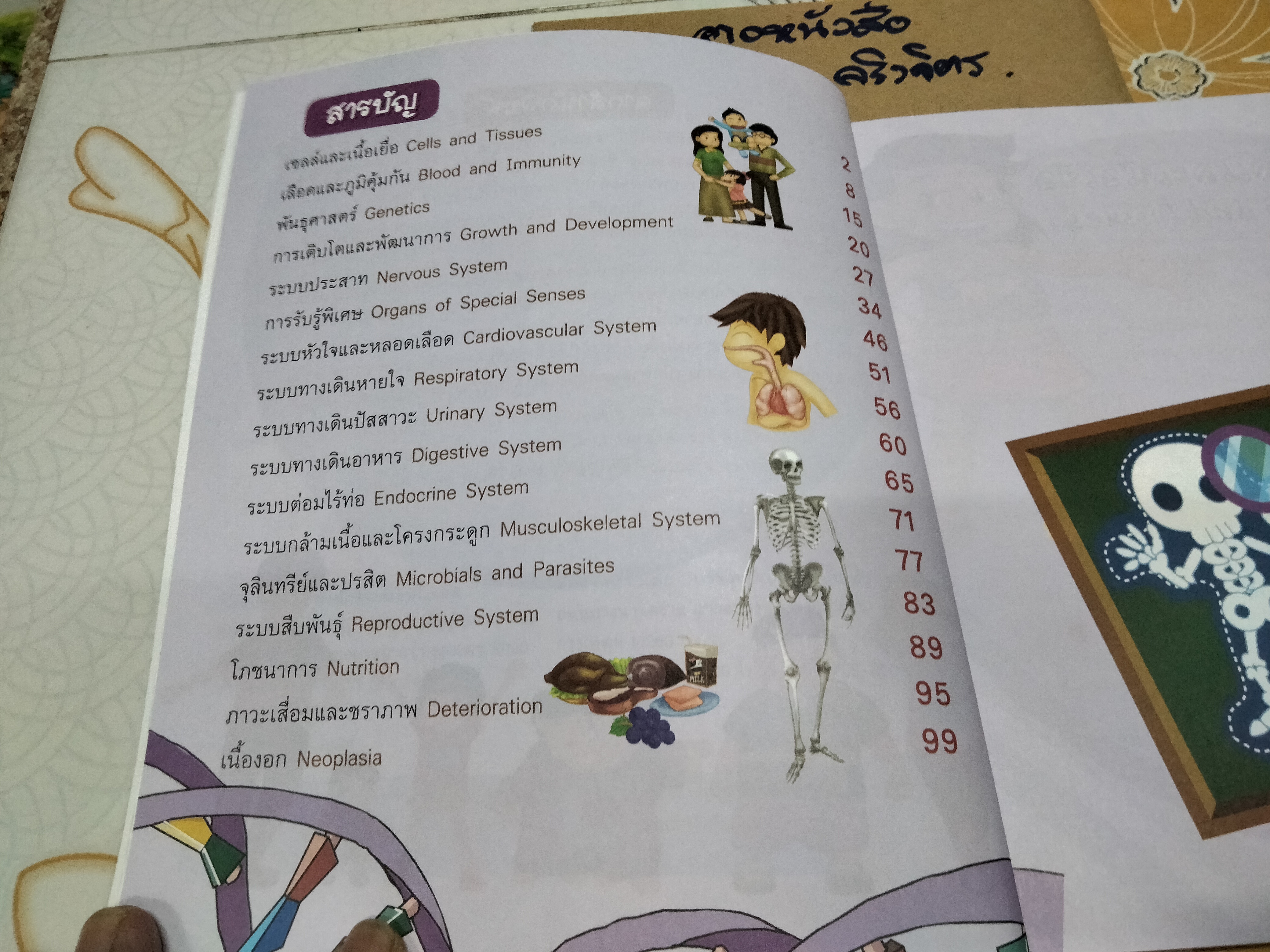 ระบบร่างกายมนุษย์ Human Body (ระดับประถม) ผศ. ดร. อรกัญญ์ ภูมิโคกรักษ์