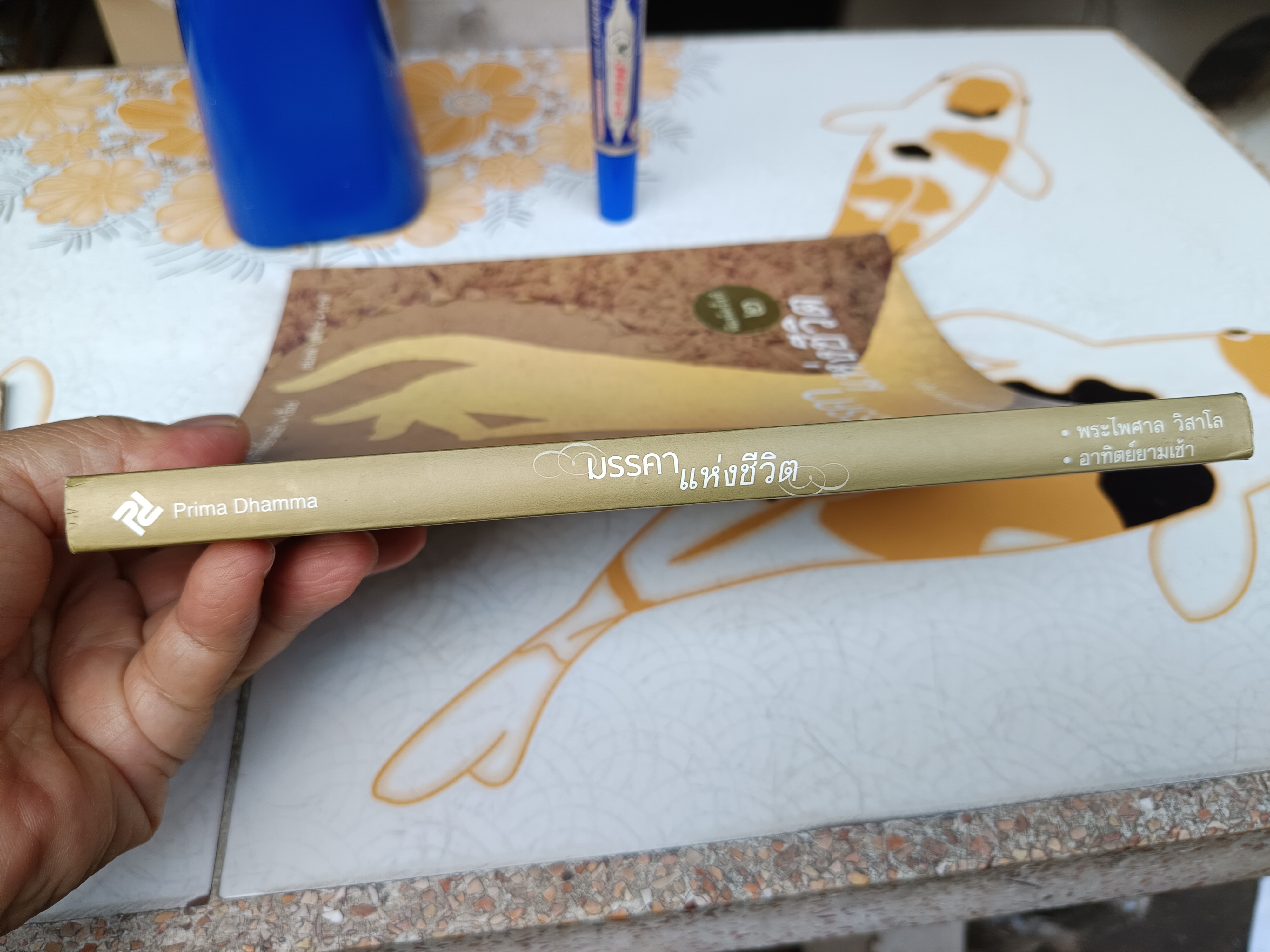 มรรคาแห่งชีวิต : สู่ความตื่นรู้และอยู่อย่างผาสุก โดย พระไพศาล วิสาโล เรื่องโดย อาทิตย์ยามเช้า- สมภพ บุตราช - ภาพ