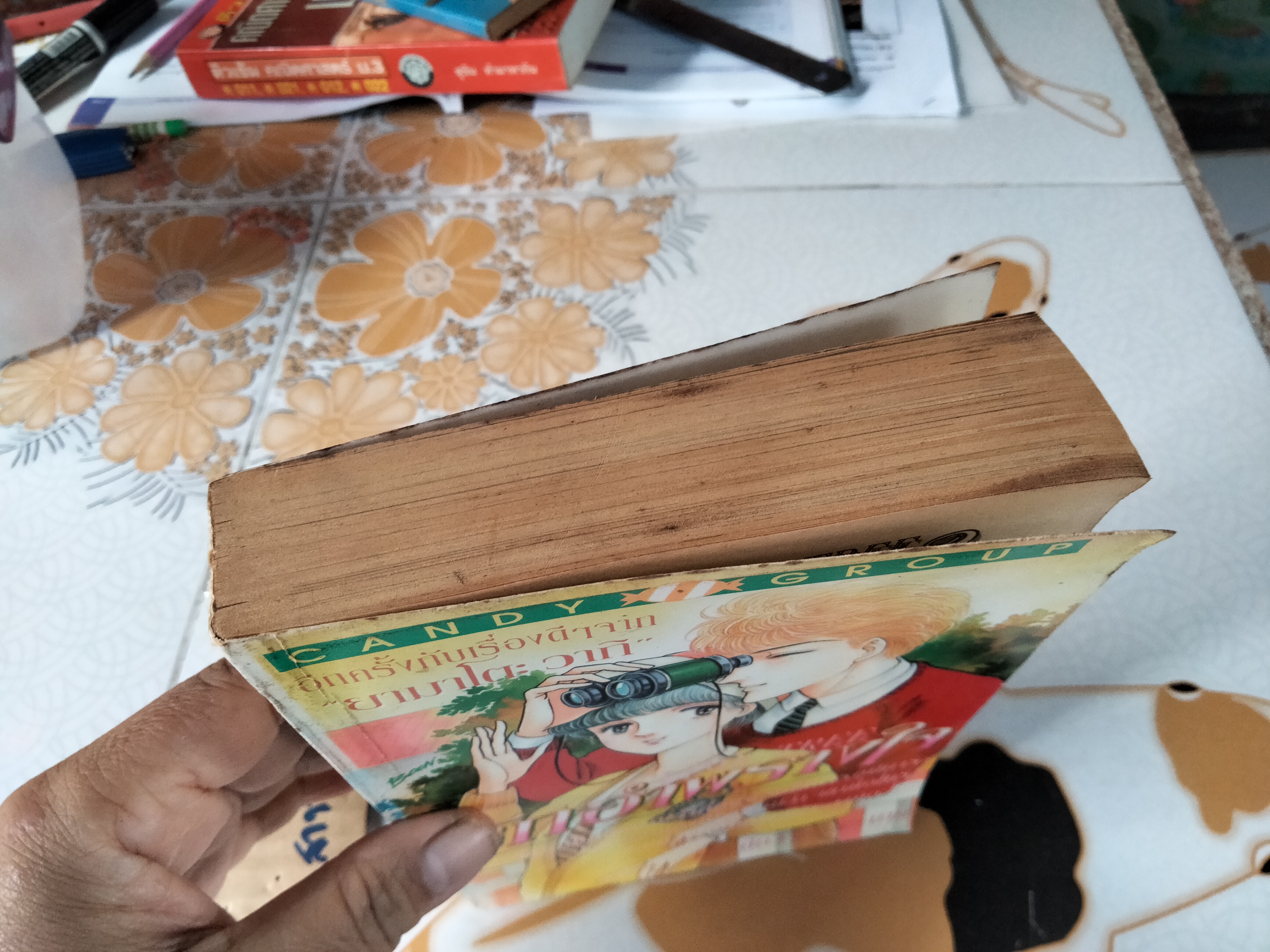 รักอำพรางใจ ( Lime Tree) เล่มเดียวจบ - ยามาโตะ วากิ **สินค้าหมด**