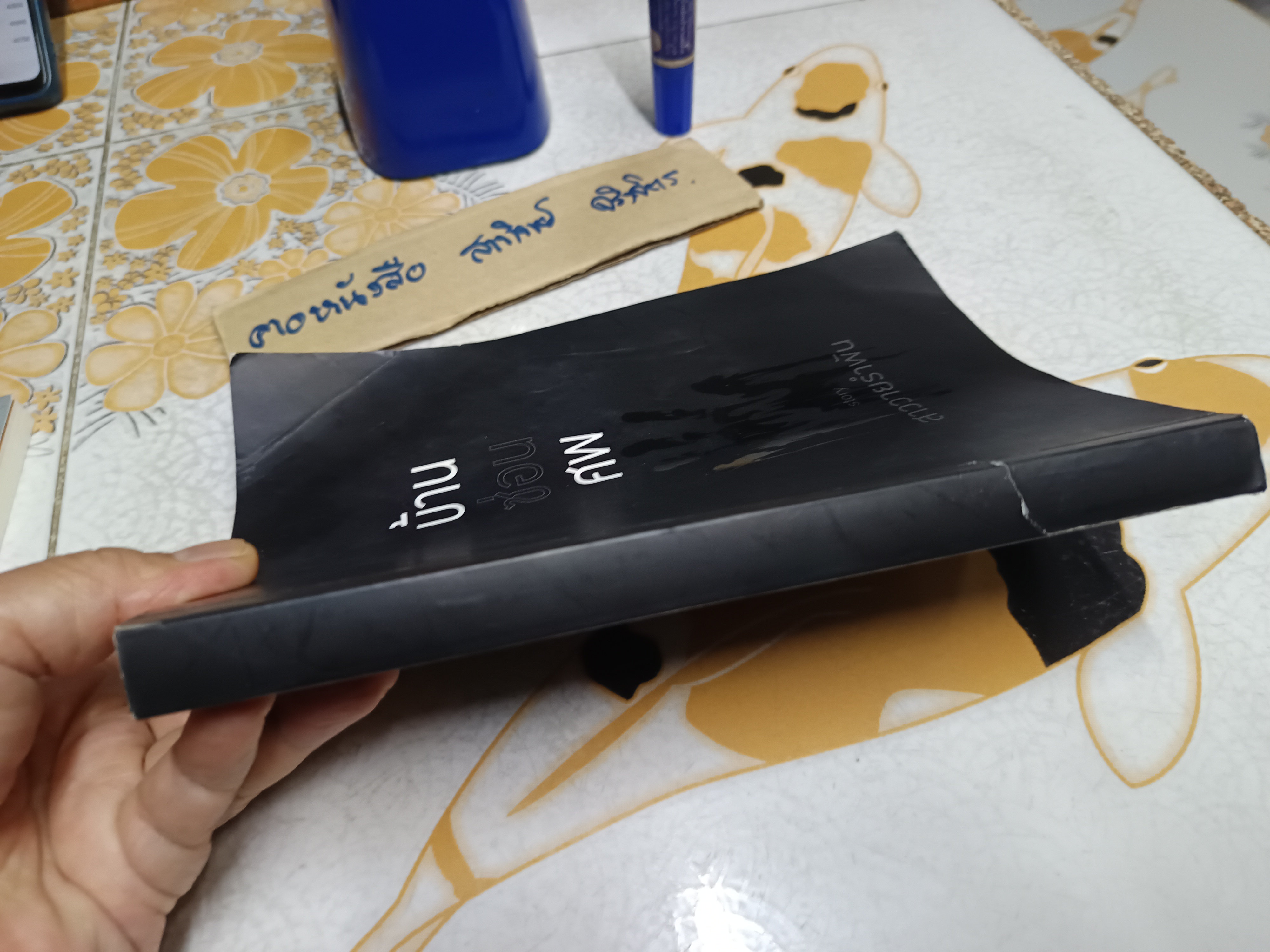 บ้านซ่อนศพ สาววายรำพัน เขียน พิมพ์ครั้งแรกพ.ศ 2561 Deep Publishing