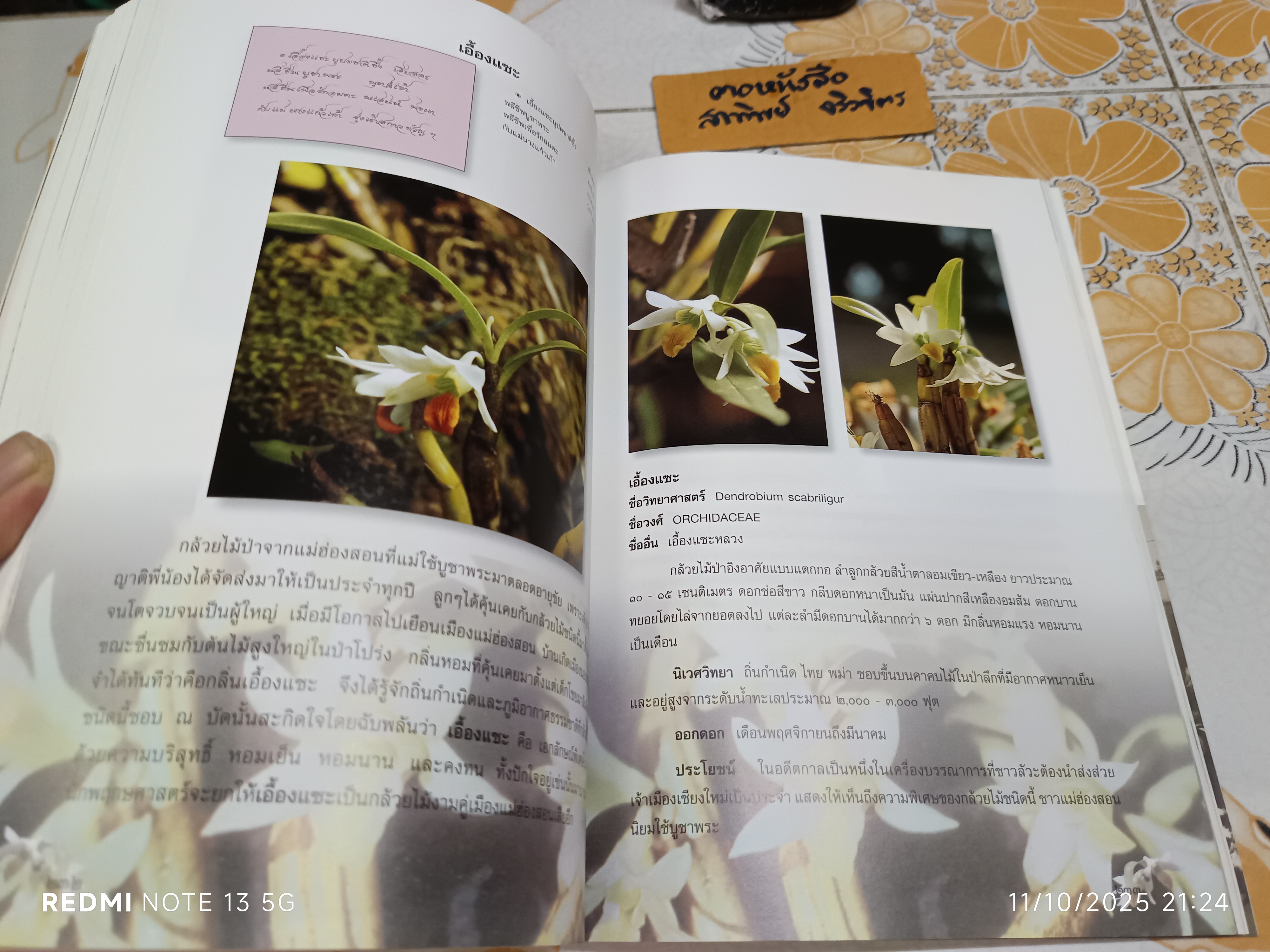 หนังสืออนุสรณ์งานพระราชทานเพลิงศพ นางสุมิตร ลดาวัลย์ ณ อยุธยา เมื่อวันที่ 3 กันยายน 2545