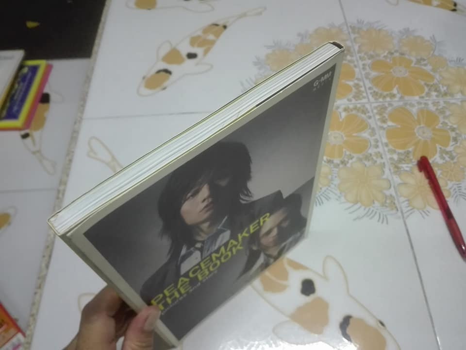PEACEMAKER THE BOOK - pictures and story ของบอยและพีท **สินค้าหมด**