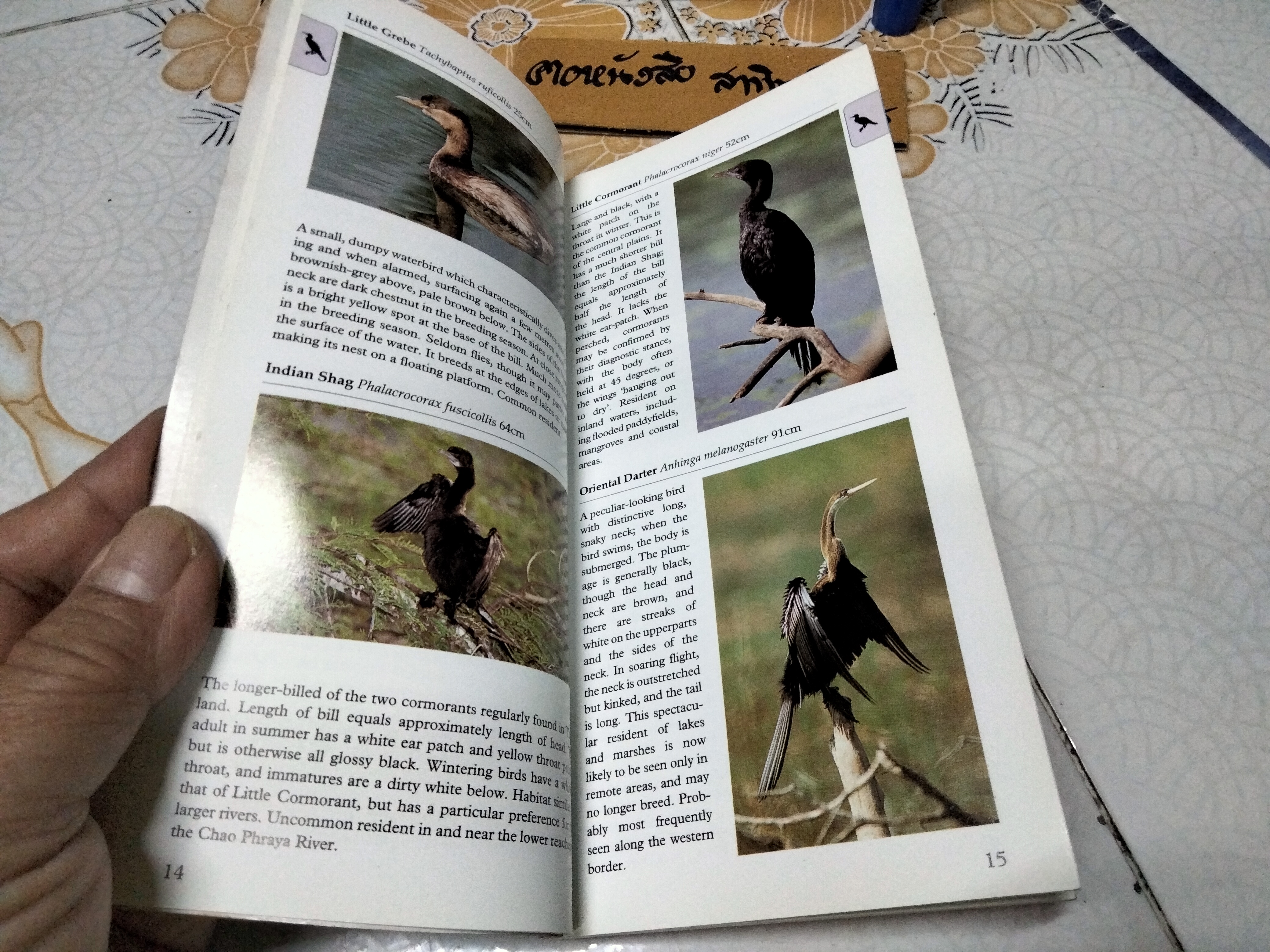 Birds of Thailand by Michael Webster and Chew Yen Fook ,1997