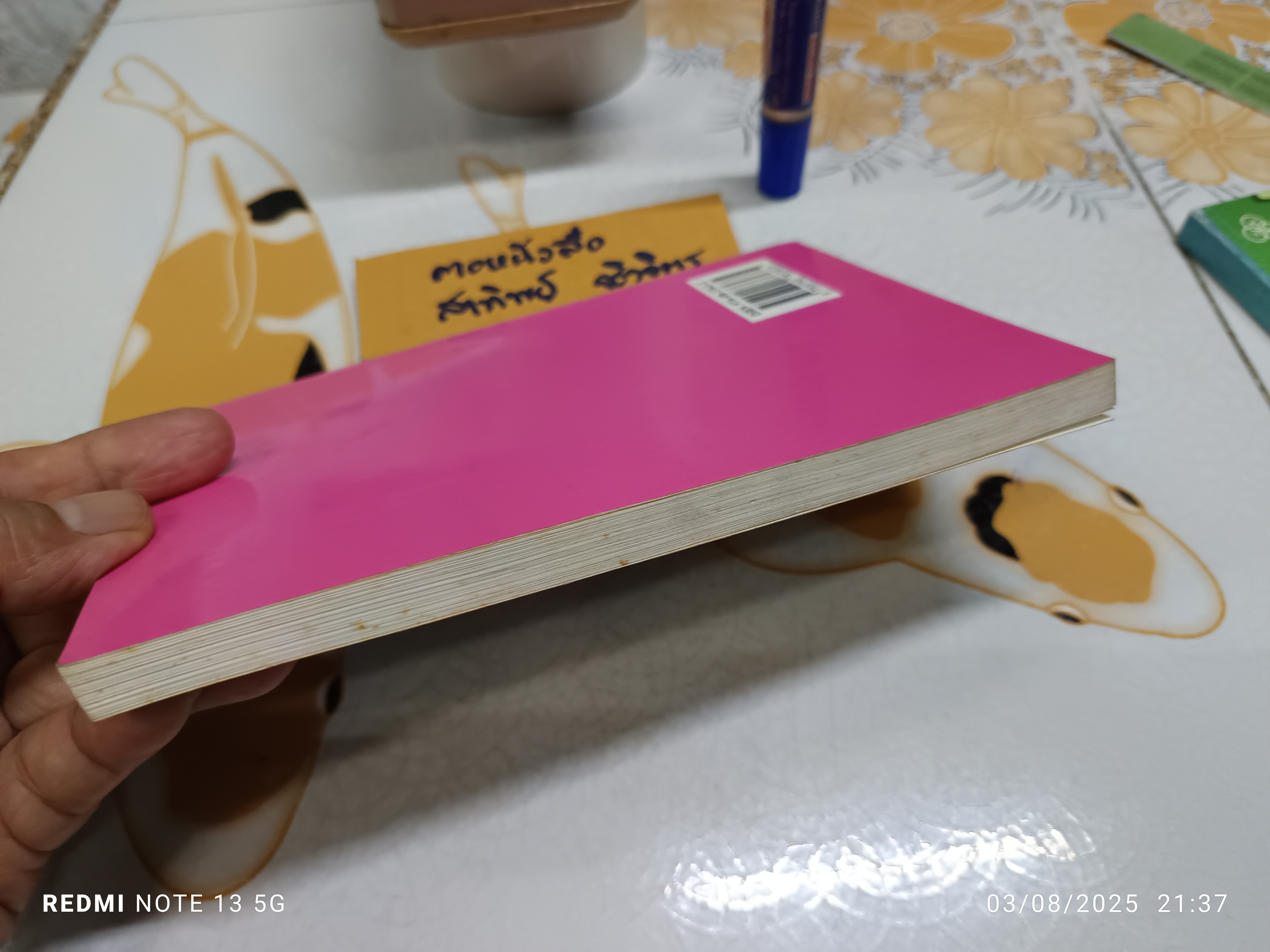 อินเดียนแดงในเมืองคนยักษ์ The Indian in the Cupboard เล่มที่ 3 ตอน ความลับของอินเดียน