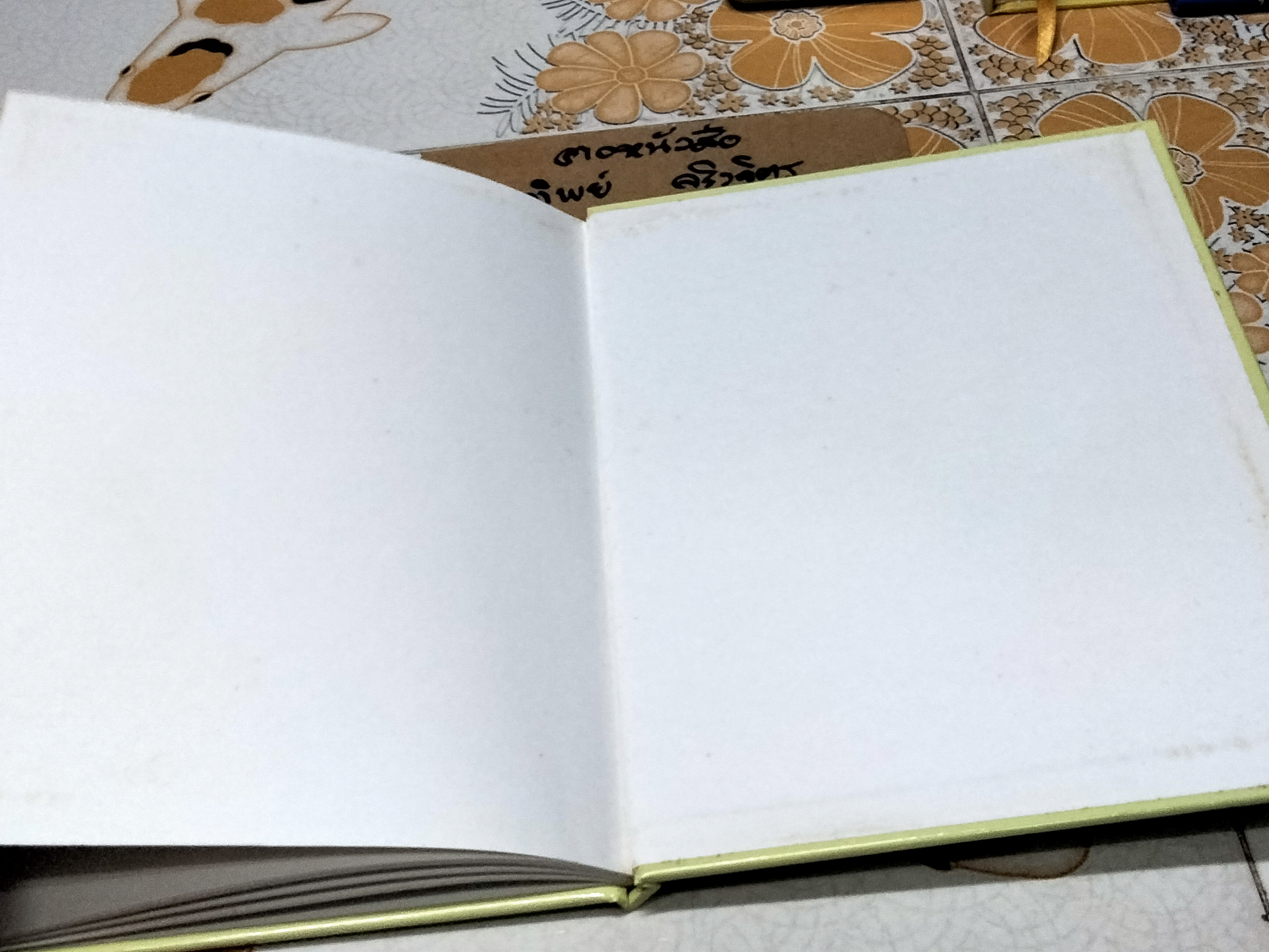 มาเล่นด้วยกันนะ (ปกแข็ง) เรื่องและรูป โดย มารี ฮอลล์ เอทส์ แปลโดย พรอนงค์ นิยมค้า