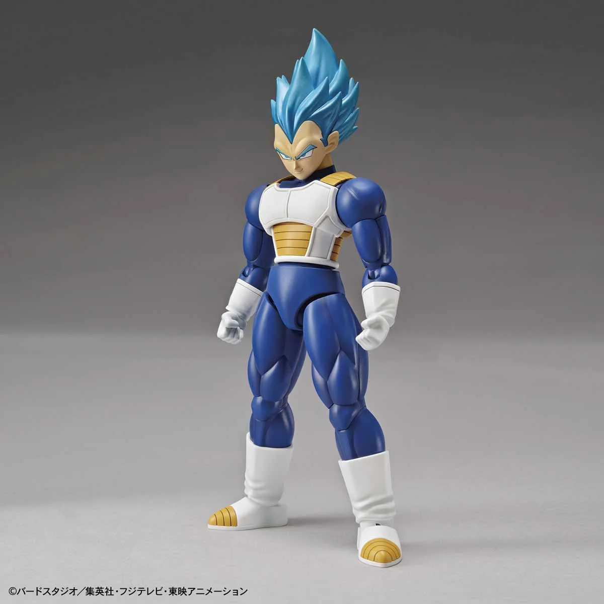 SUPER SAIYAN GOD SUPER SAIYAN VEGETA