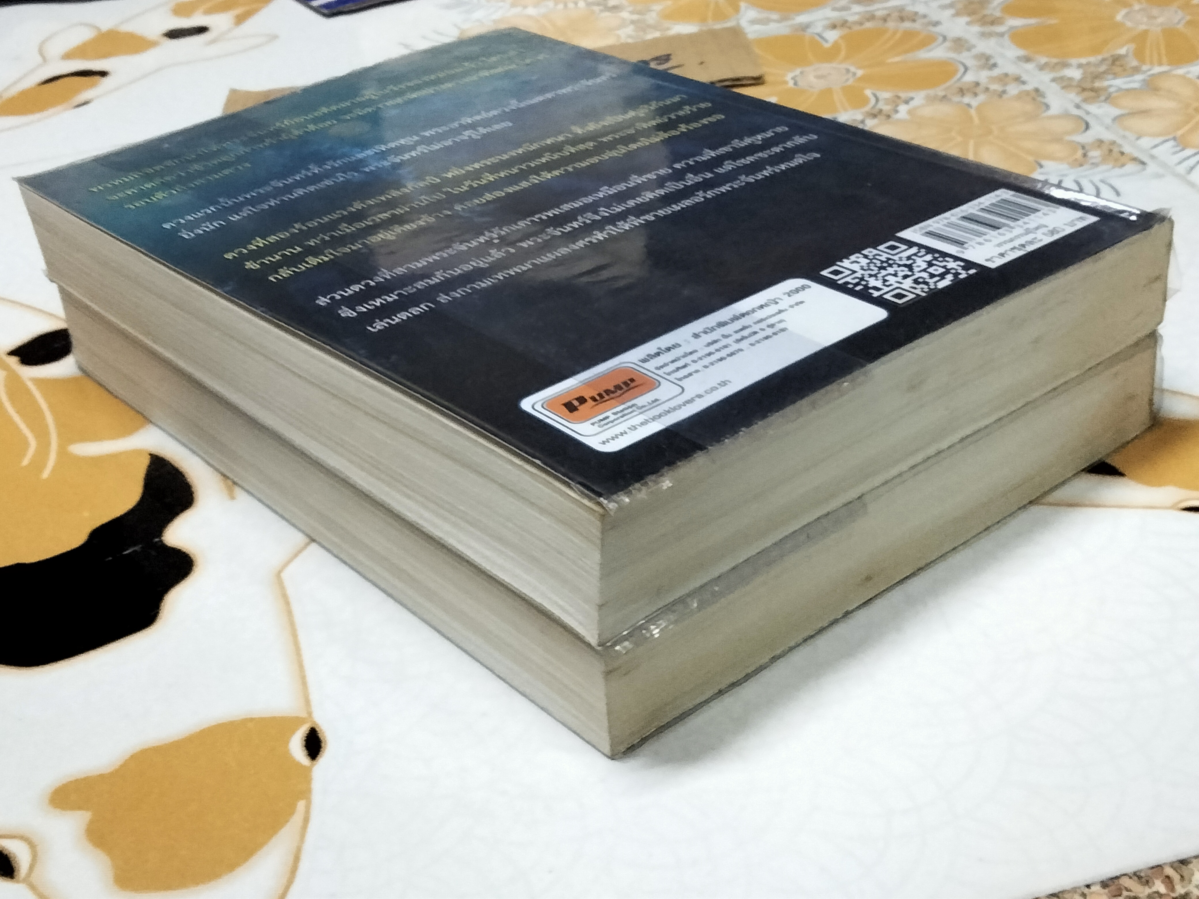 ข้ามกาล (2 เล่มจบ) โดย ตารกา **สินค้าหมด**